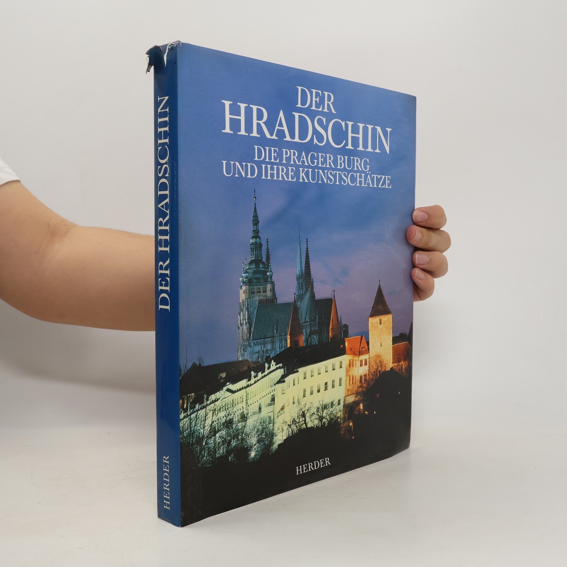 Karl Schwarzenberg Der Hradschin