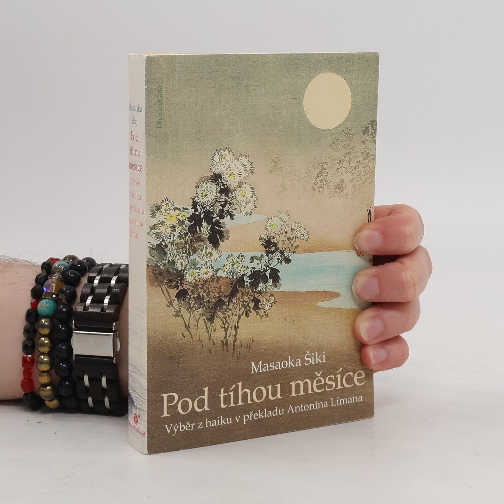 Shiki Masaoka Pod tíhou měsíce