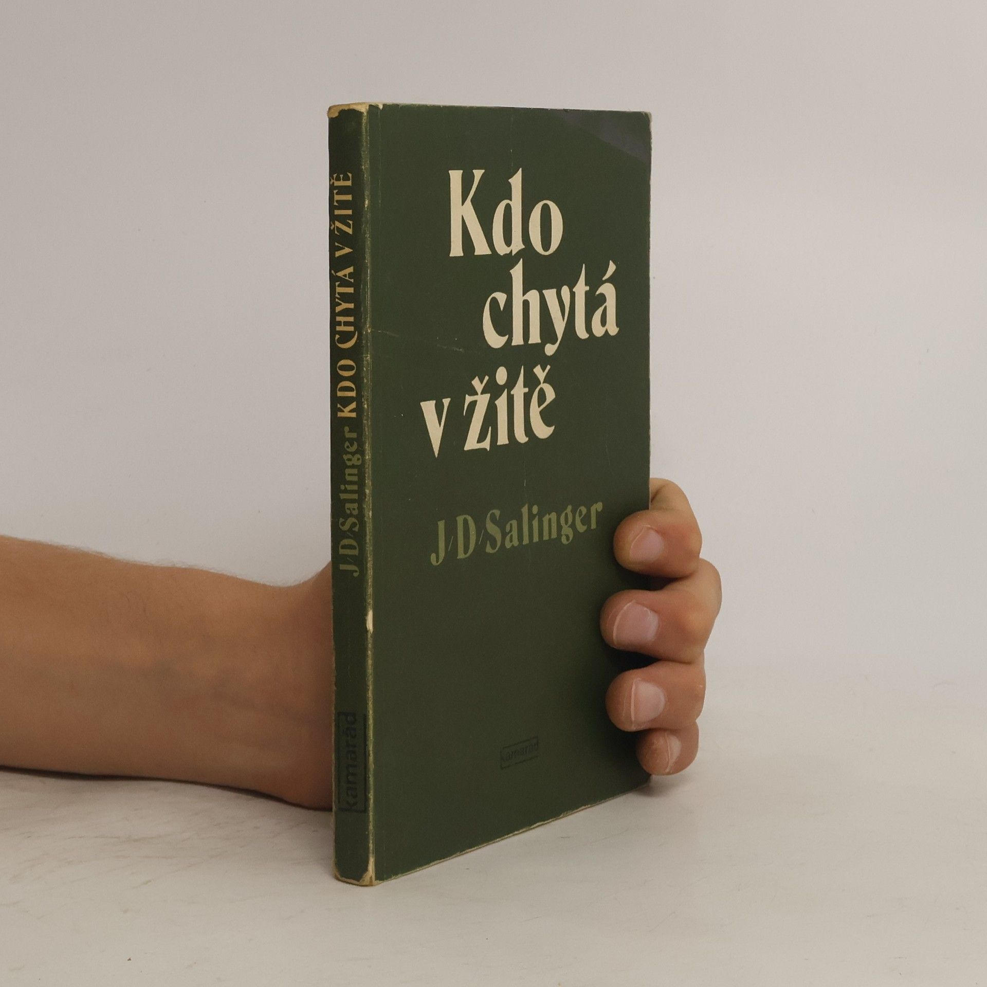 J. D. Salinger Kdo chytá v žitě
