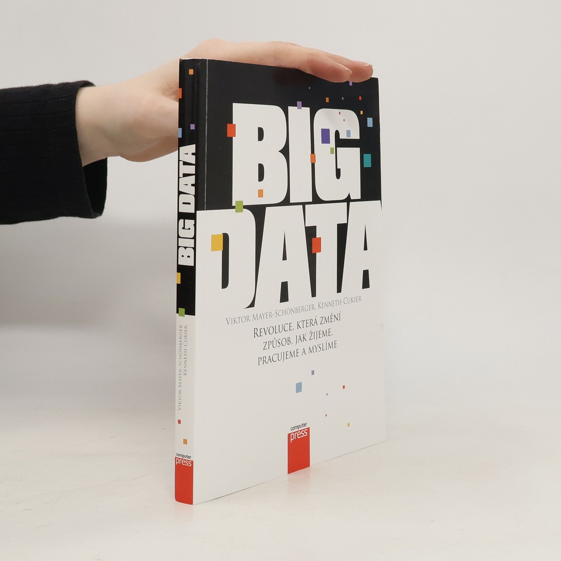 Viktor Mayer-Schönberger Big Data