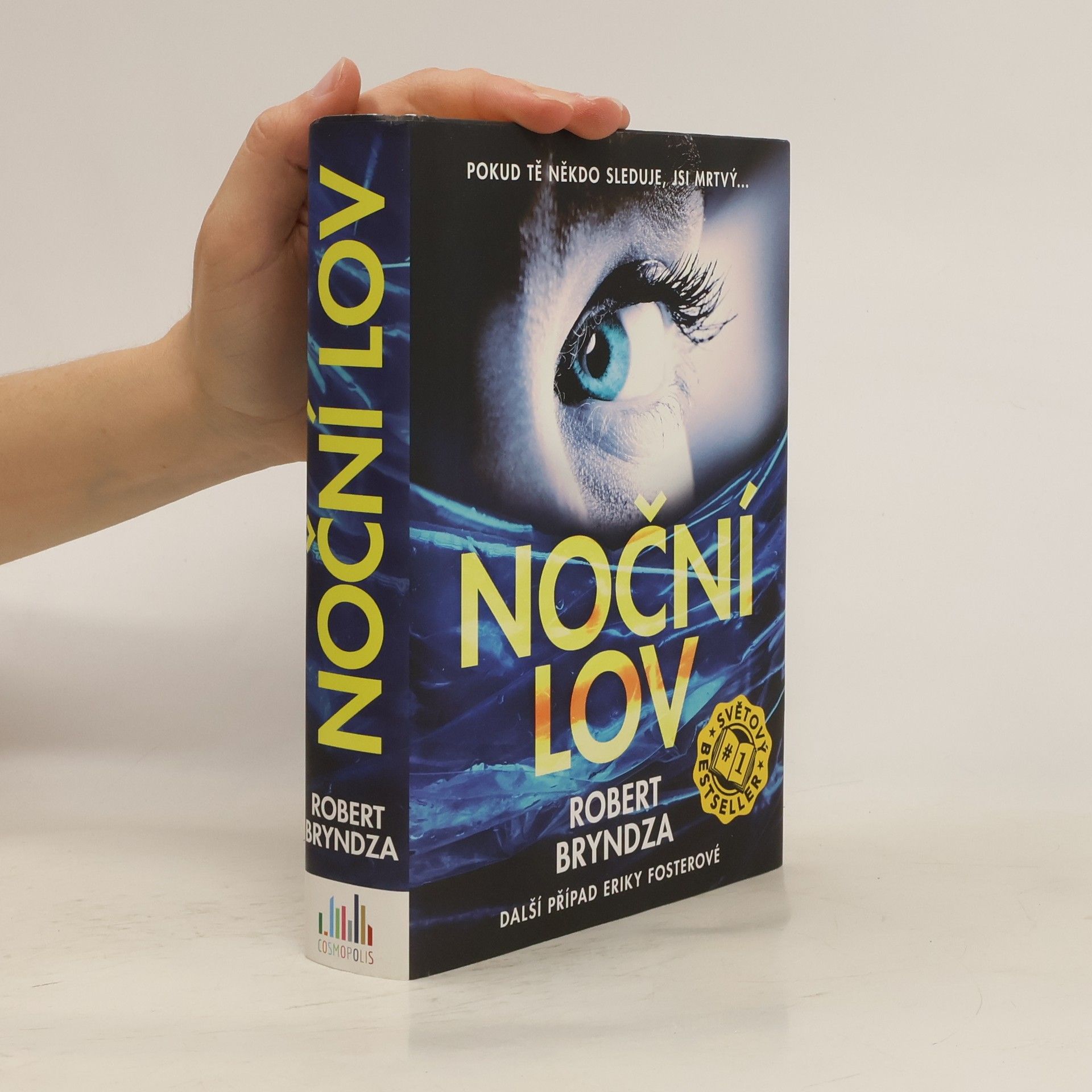 Robert Bryndza Noční lov