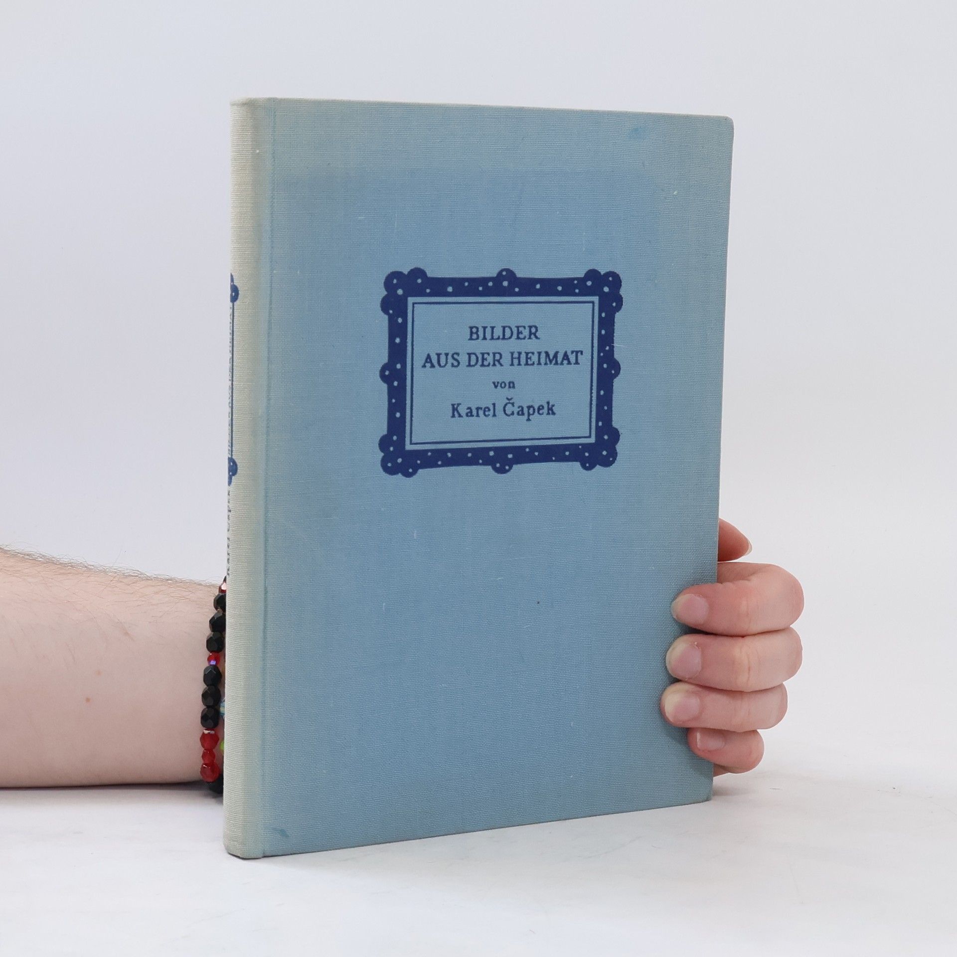 Karel Čapek Bilder aus der Heimat