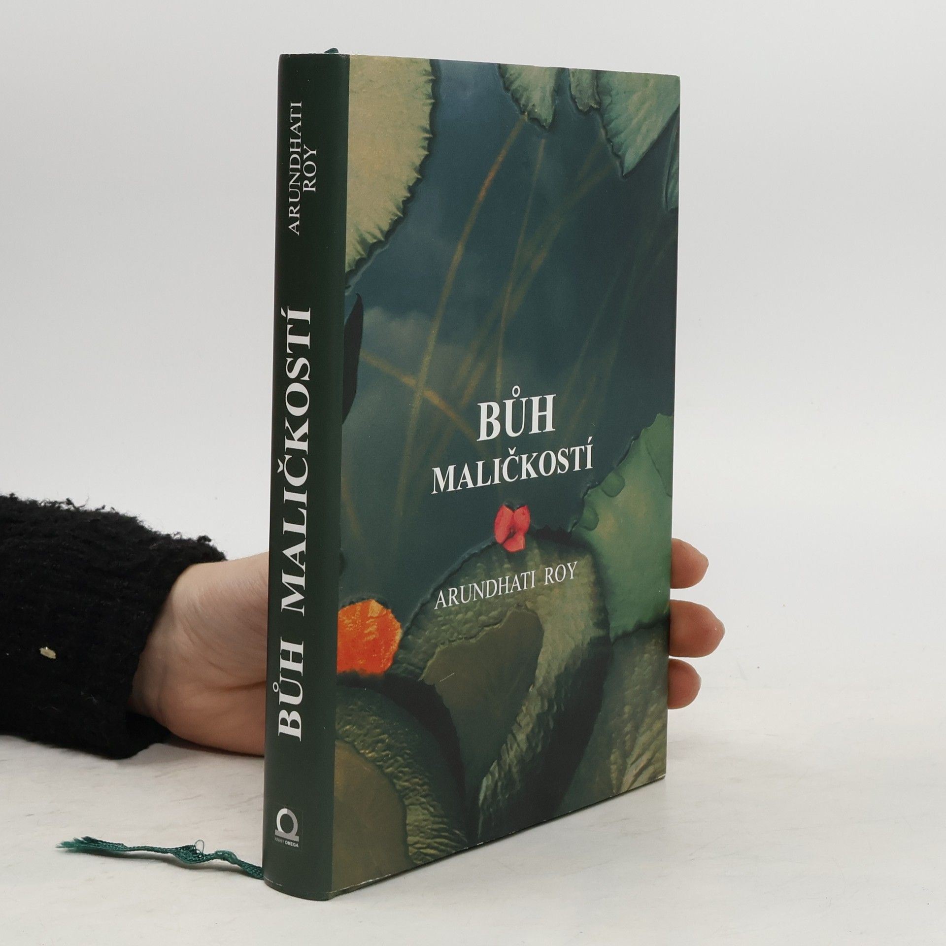 Arundhatí Roy Bůh maličkostí
