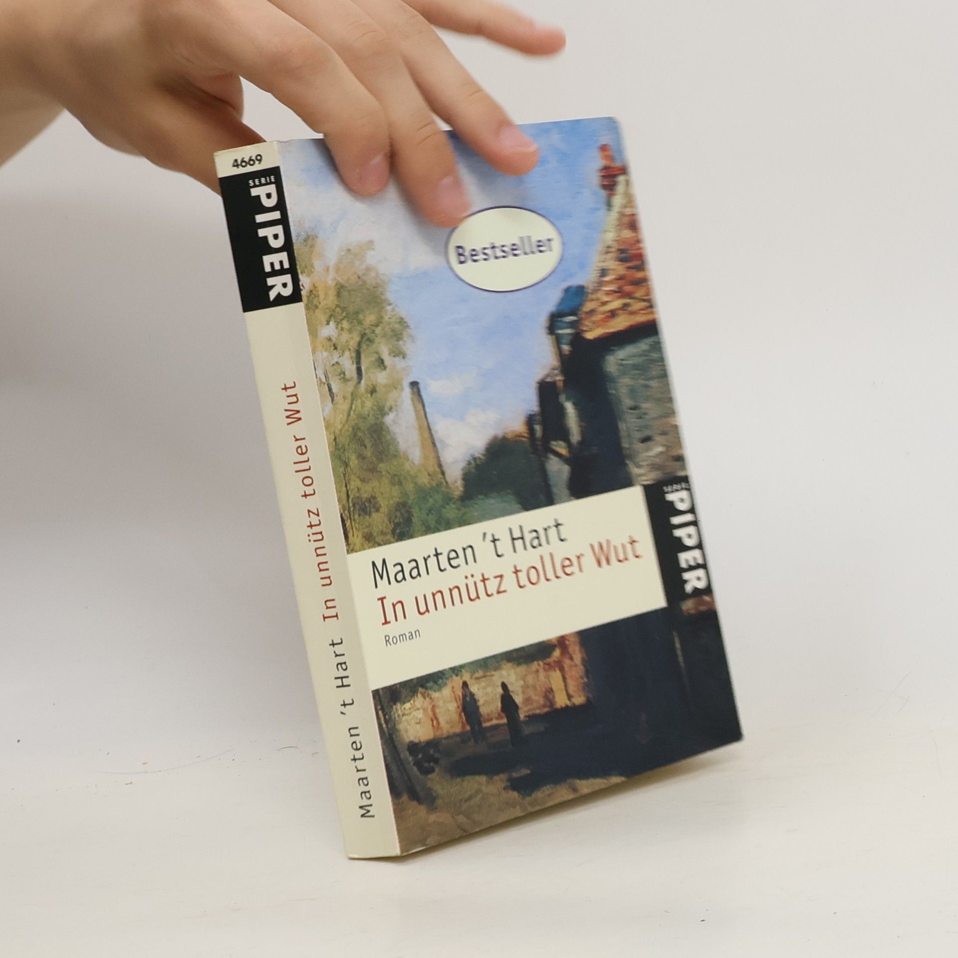 Maarten t. Hart In unnütz toller Wut