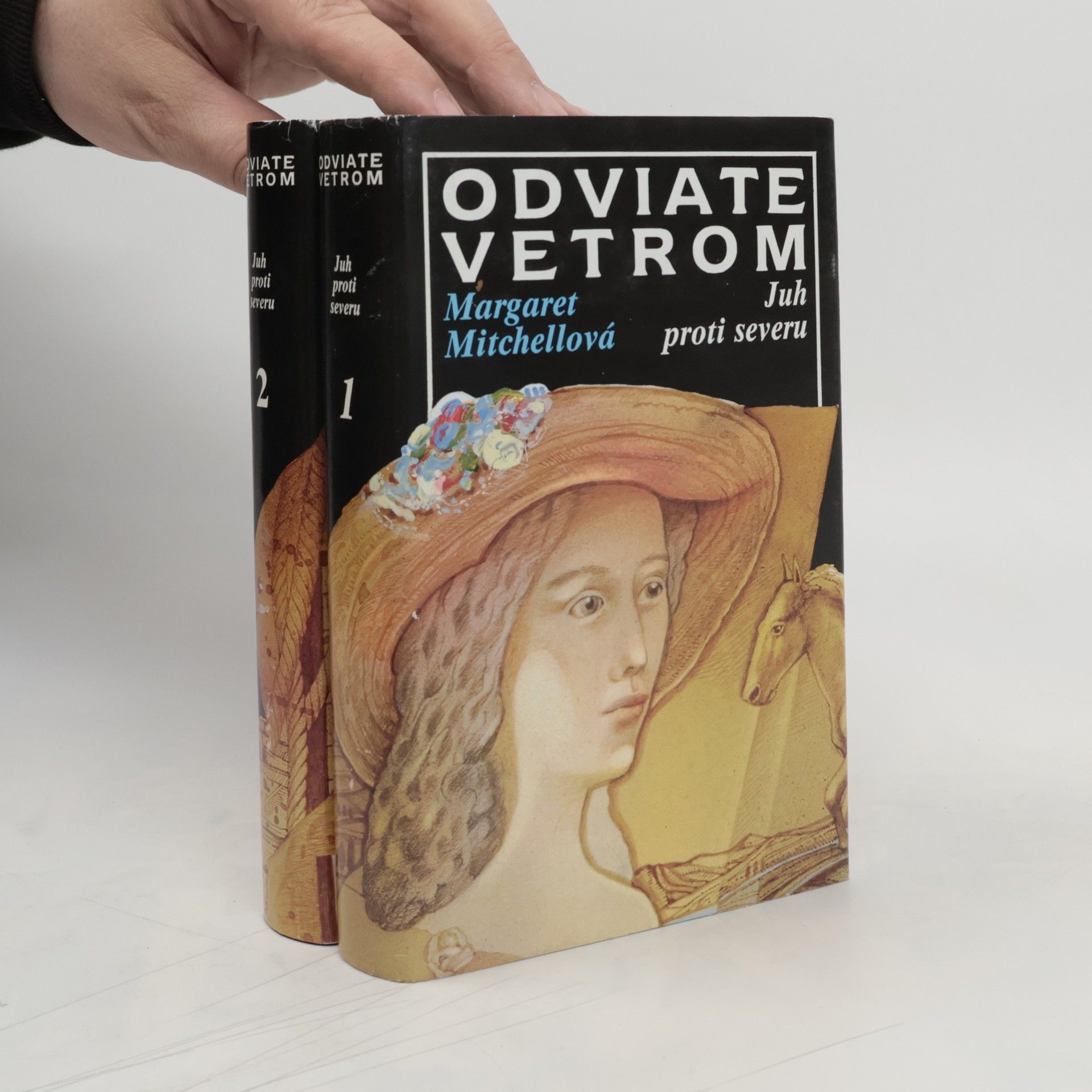 Margaret Mitchell Odviate vetrom 1-2. Juh proti severu