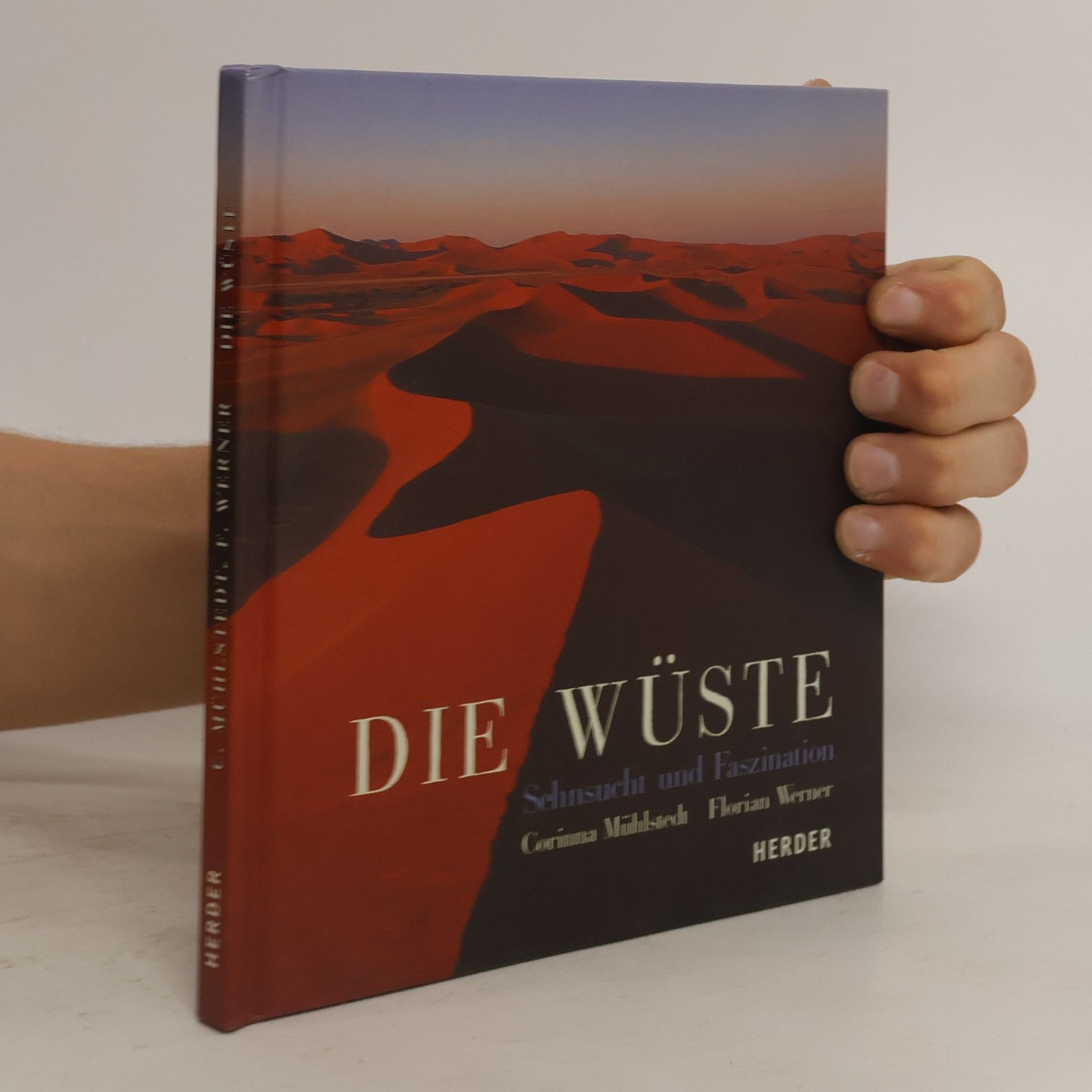 Corinna Mühlstedt Die Wüste
