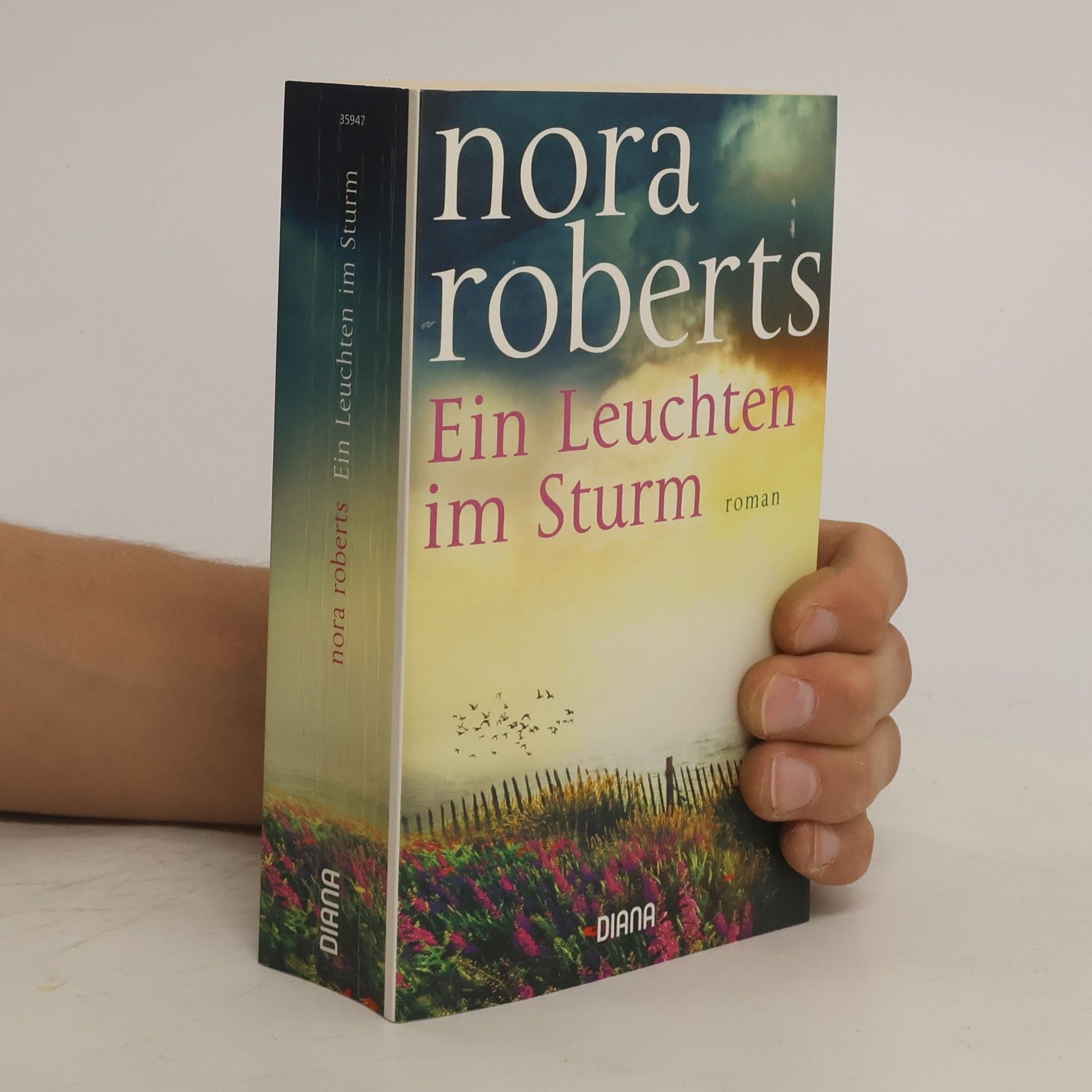 Nora Roberts Ein Leuchten im Sturm