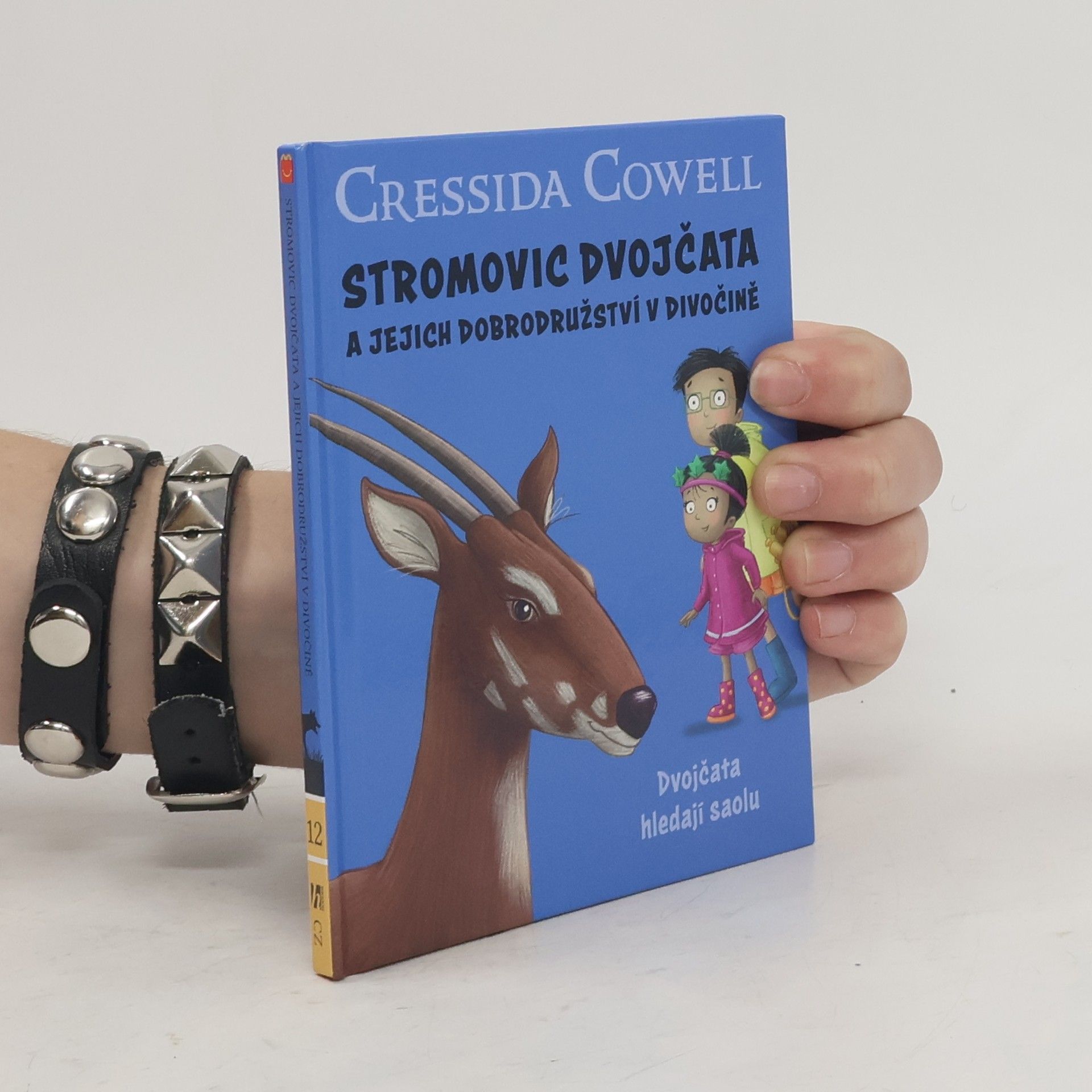 Cressida Cowell Stromovic dvojčata a jejich dobrodružství v divočině. Dvojčata hledají saolu
