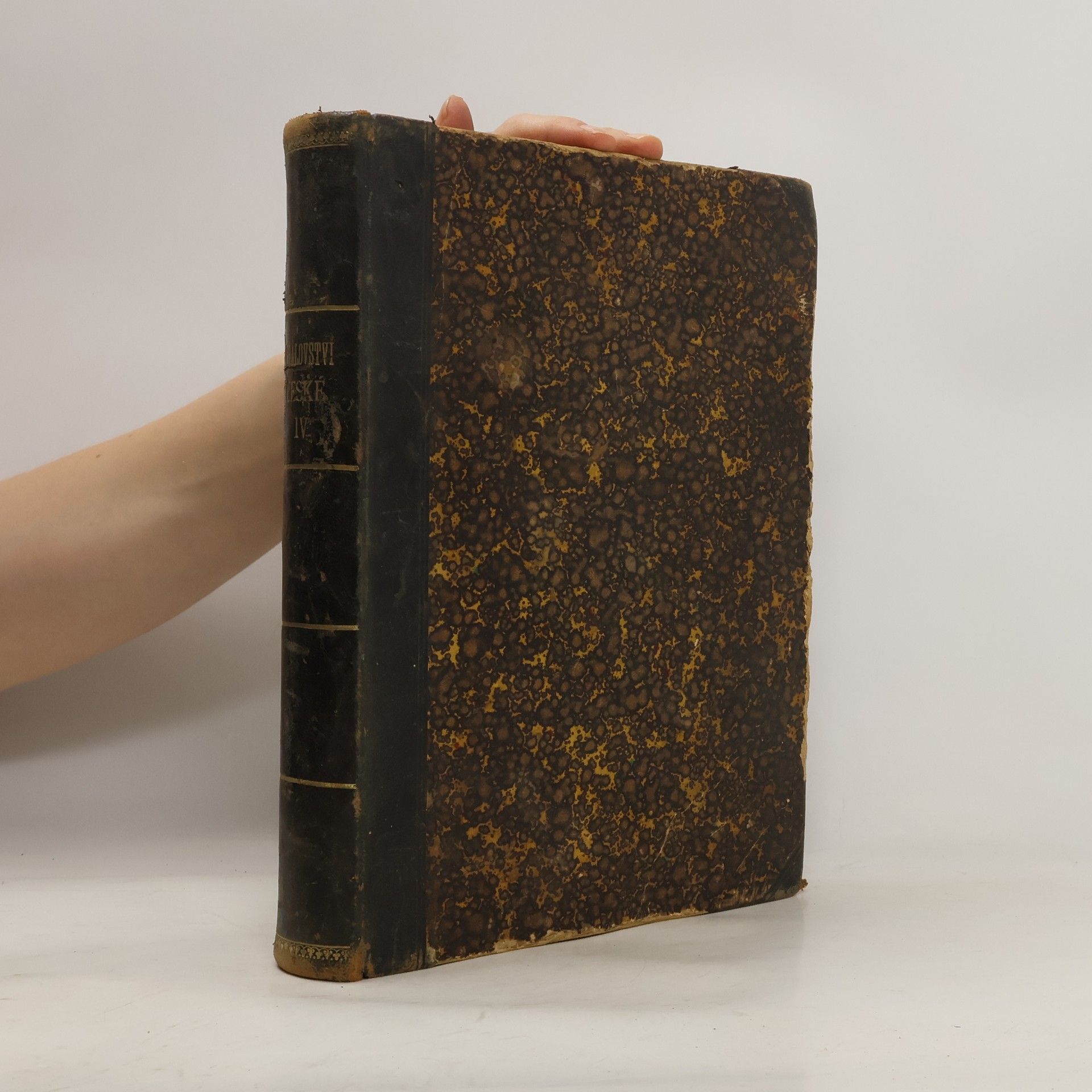 Collectif d'auteurs Království české IV