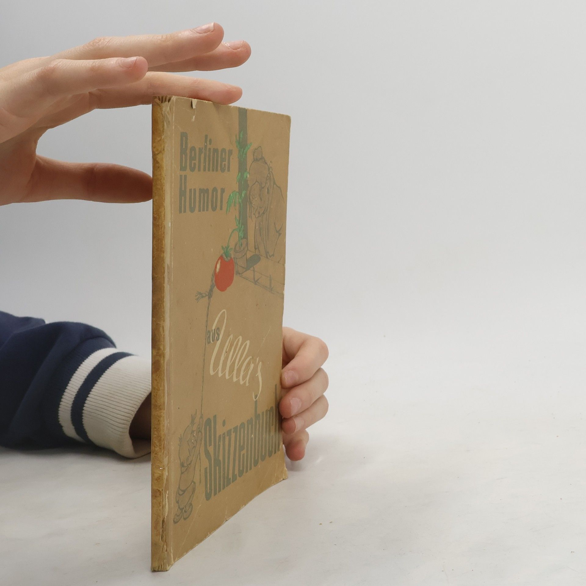 Collectif d'auteurs Aus Ulla's Skizzenbuch