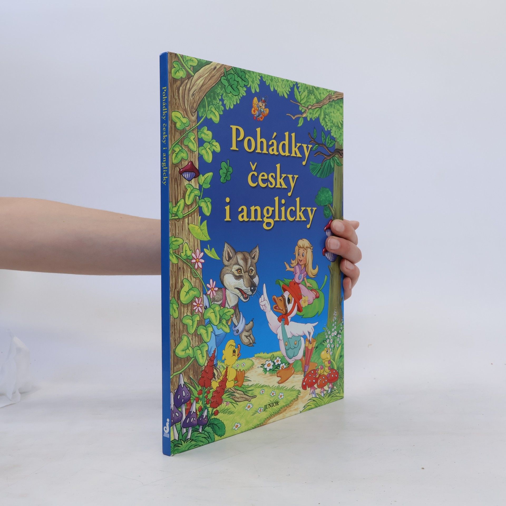 Dorota Fic Pohádky česky i anglicky