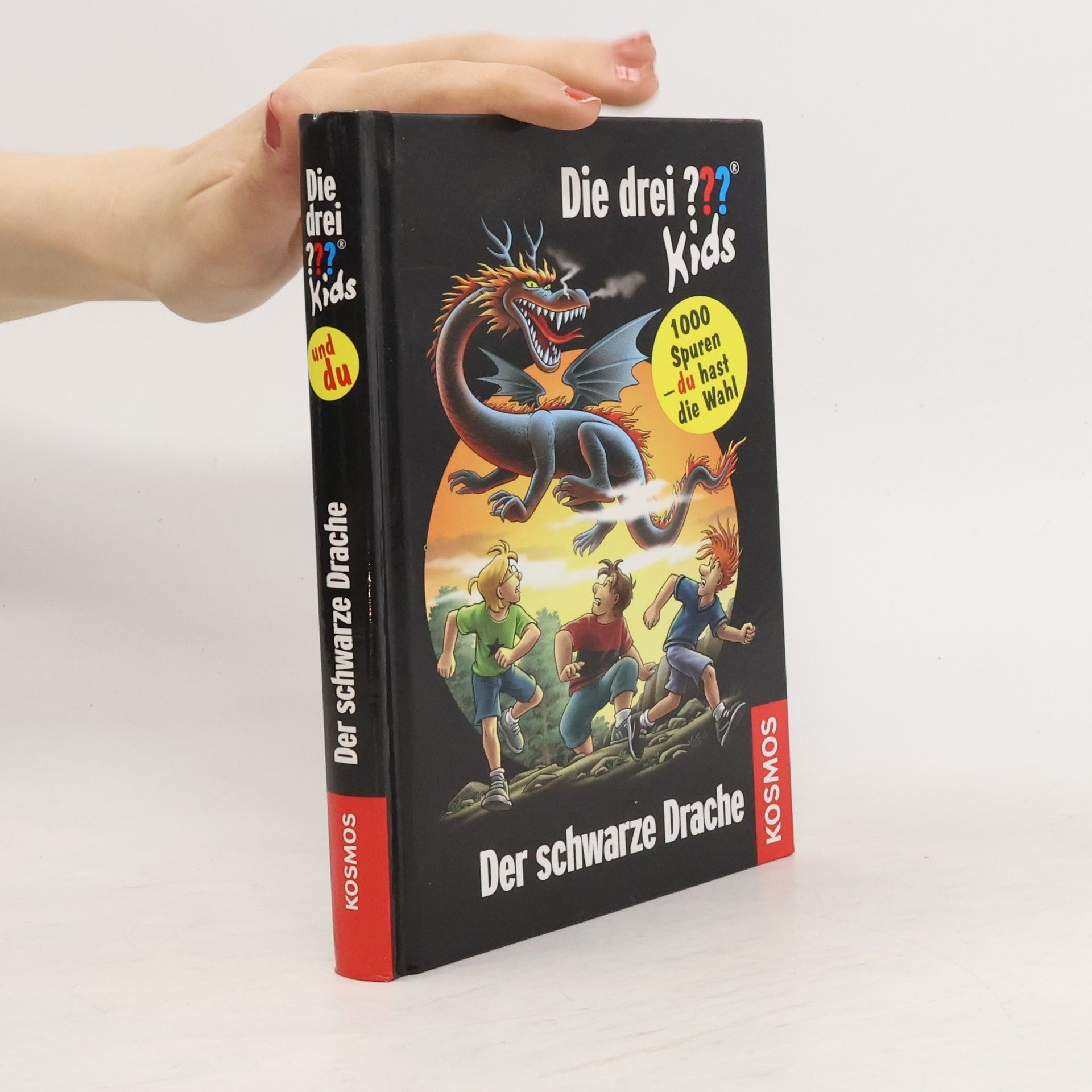 Boris Pfeiffer Der schwarze Drache