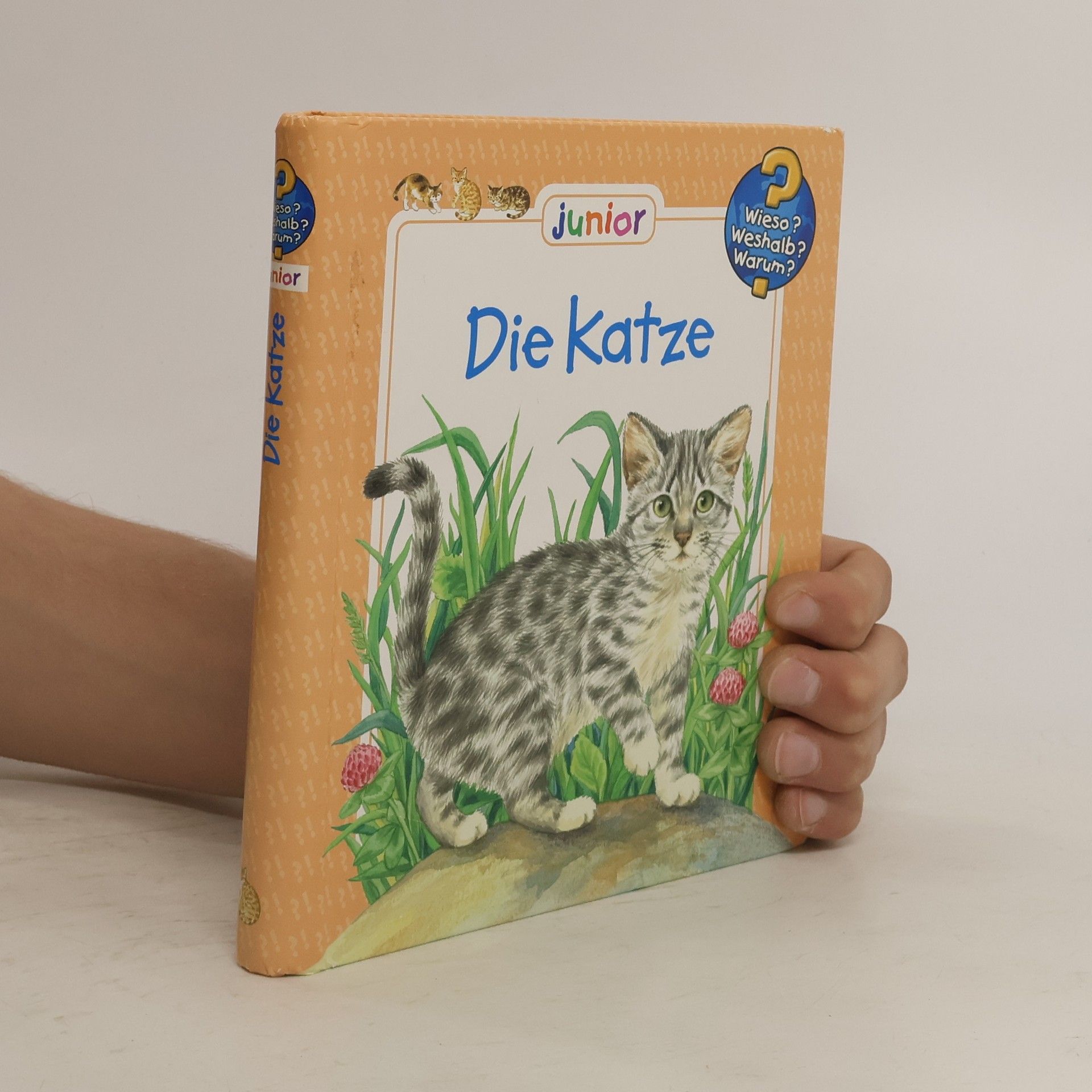 Autorenkollektiv Die Katze