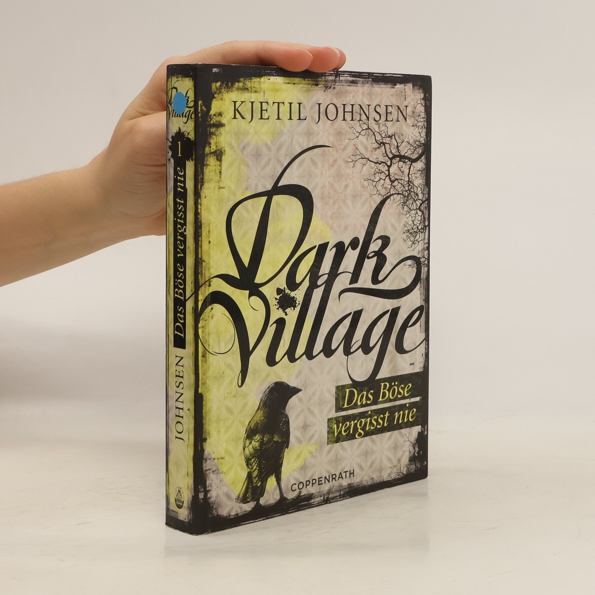 Kjetil Johnsen Dark Village 1: Das Böse vergisst nie