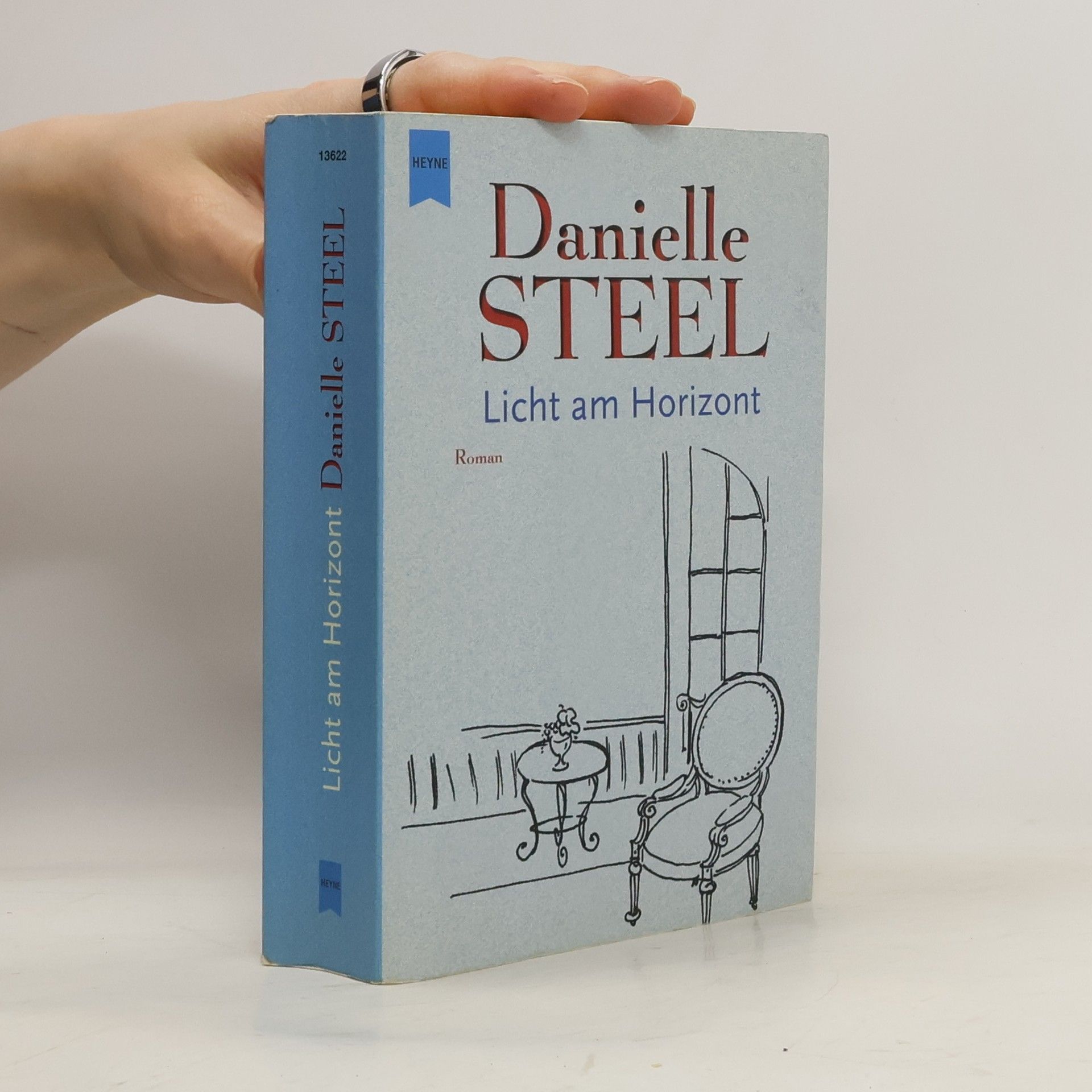 Danielle Steel Licht am Horizont