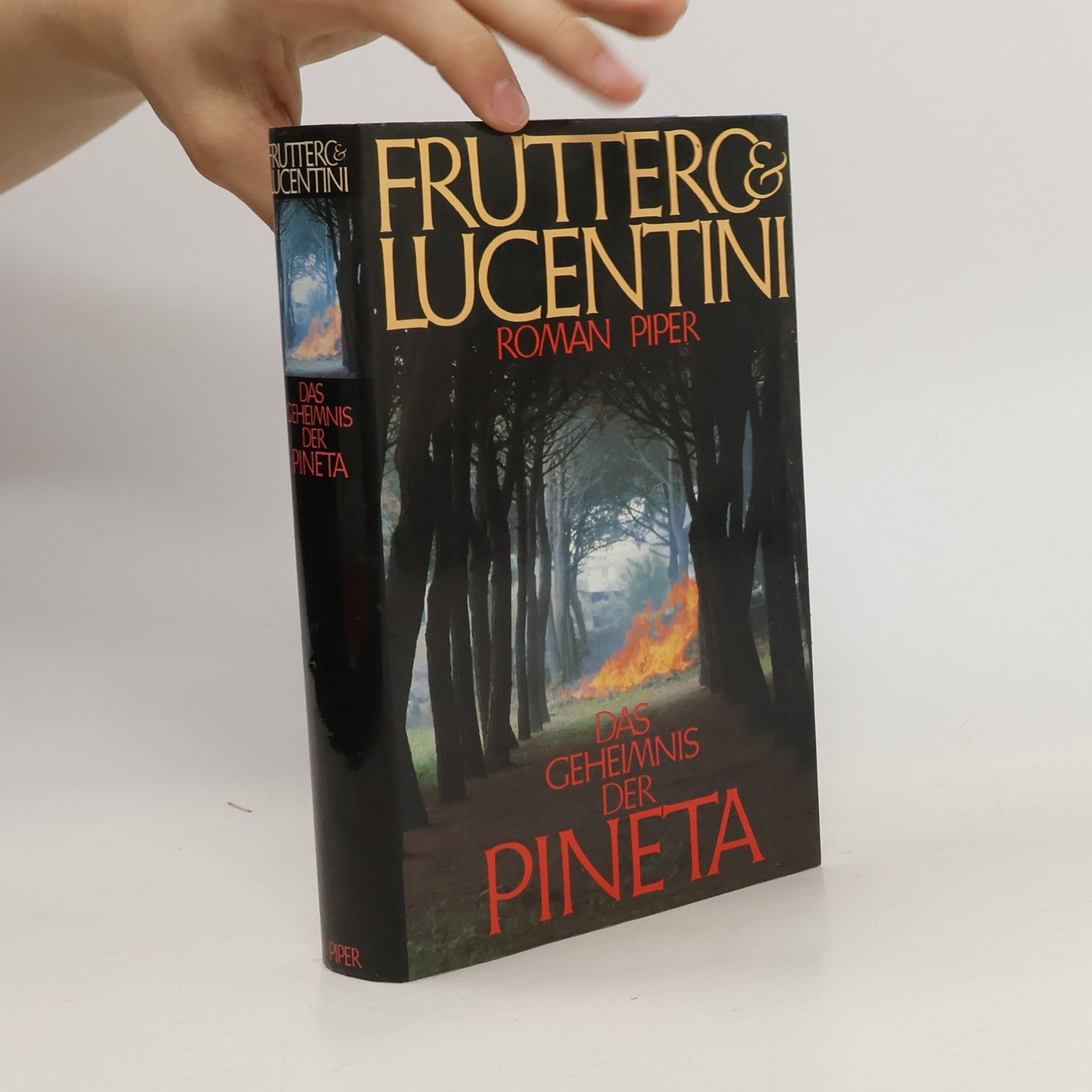 Carlo Fruttero Das Geheimnis der Pineta