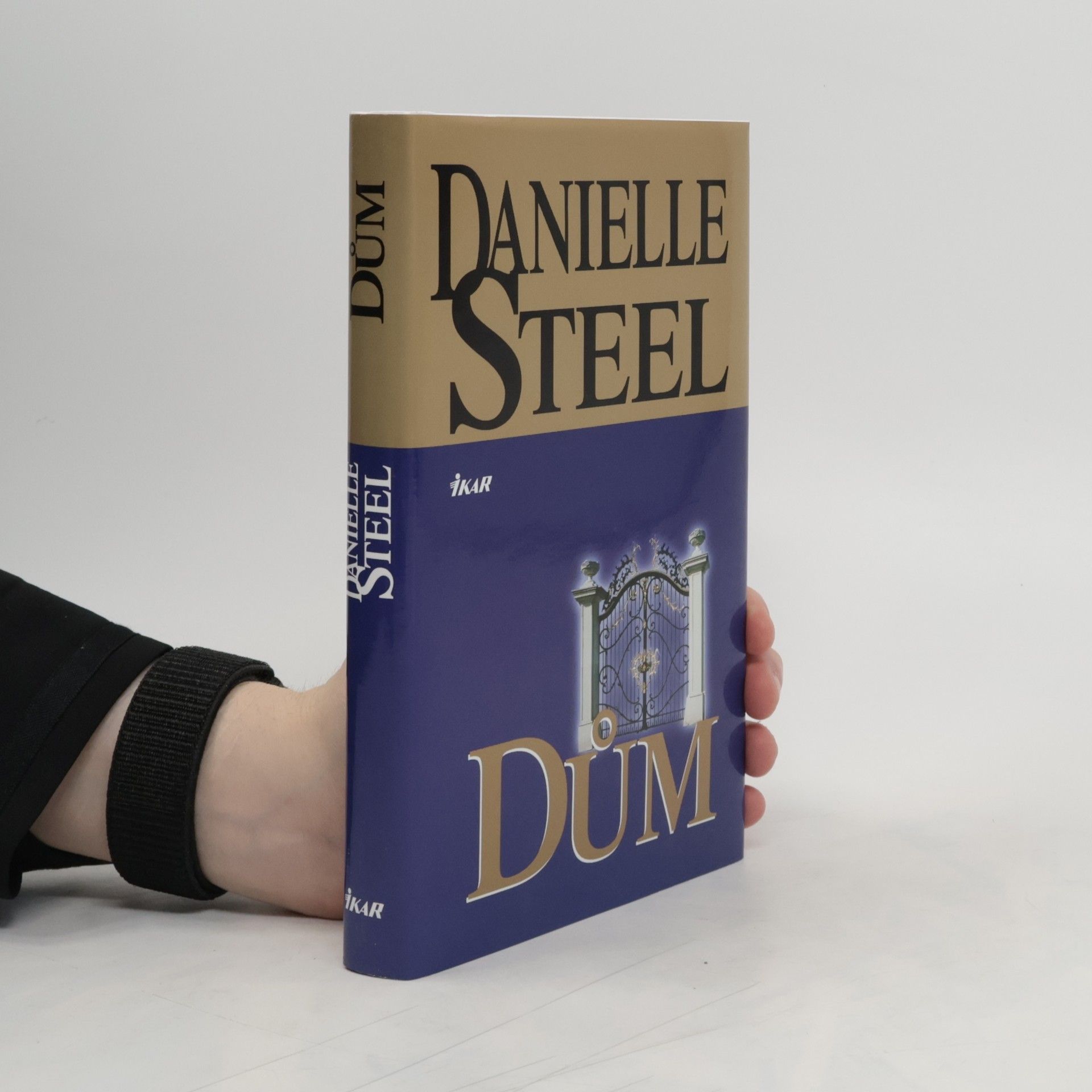 Danielle Steel Dům