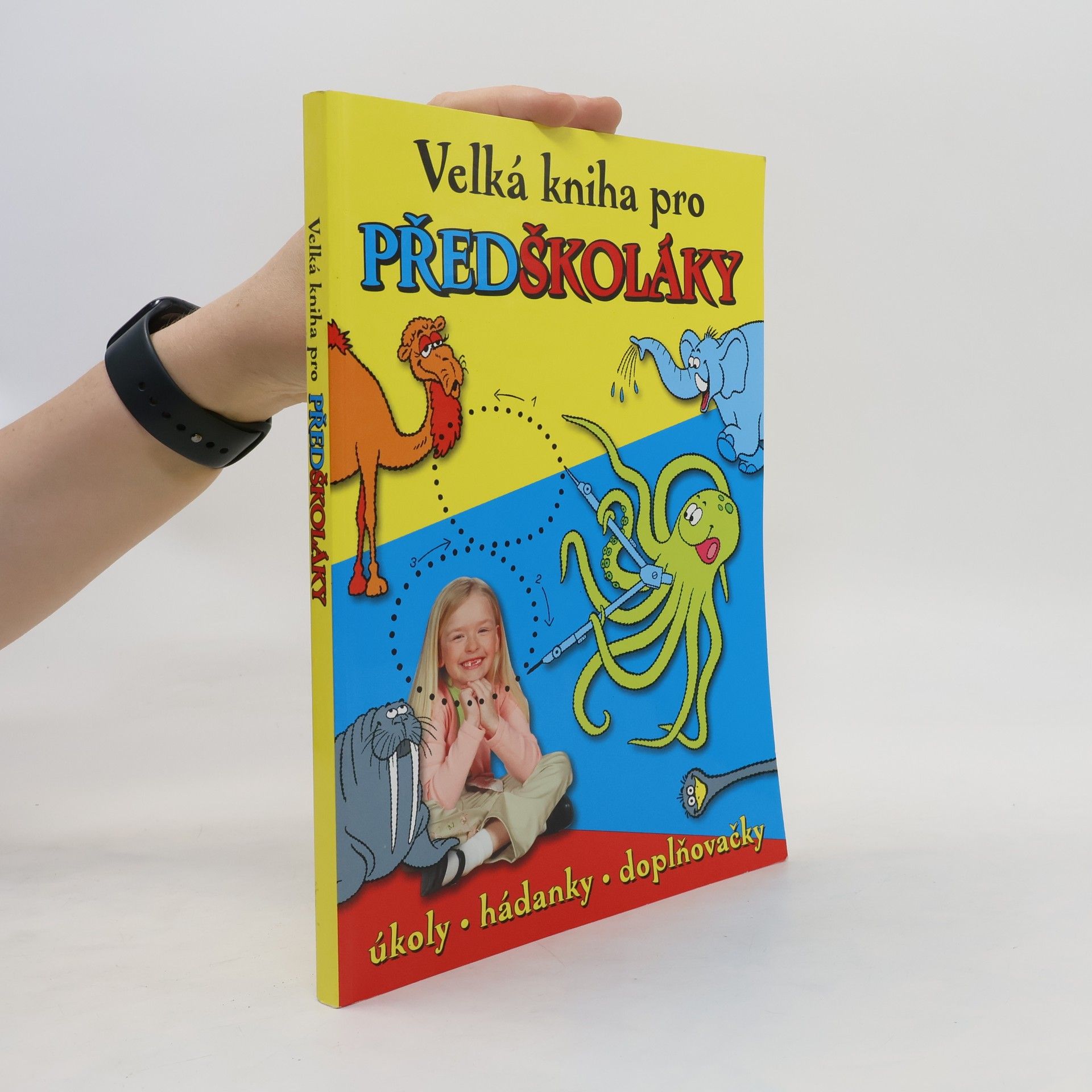 Collective Velká kniha pro předškoláky