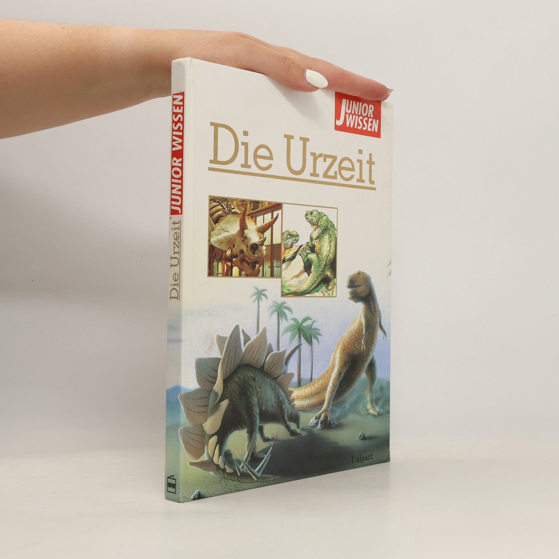 kolektiv Urzeit