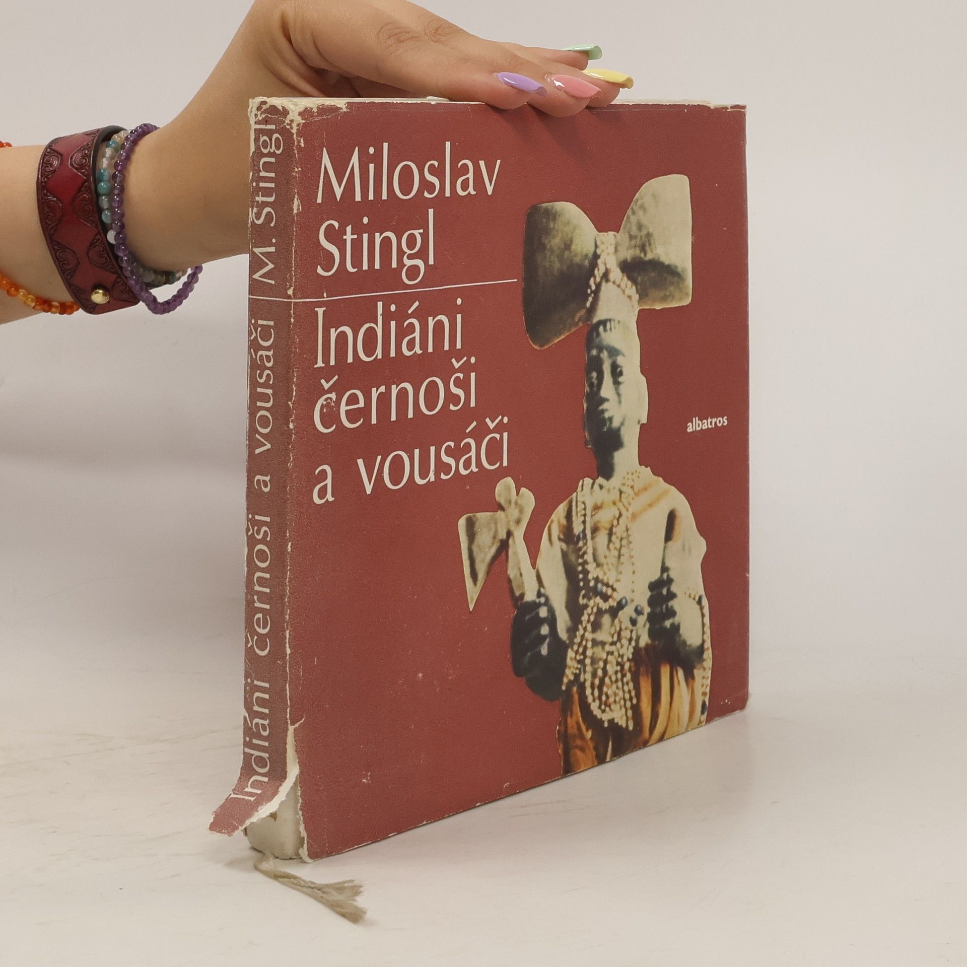 Miloslav Stingl Indiáni, černoši a vousáči