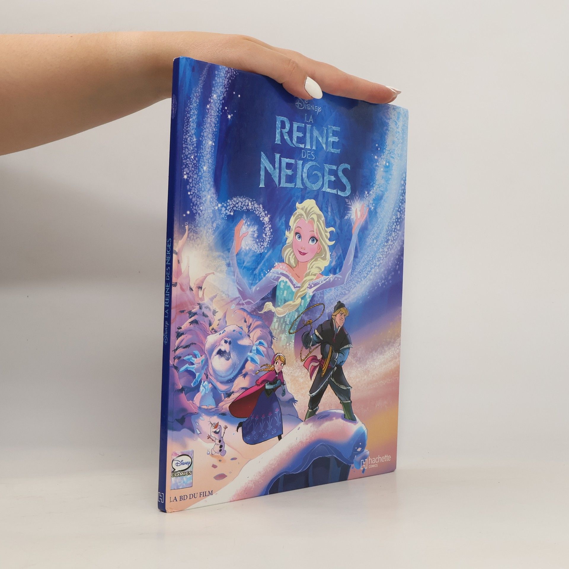 Collectif d'auteurs La reine des neiges