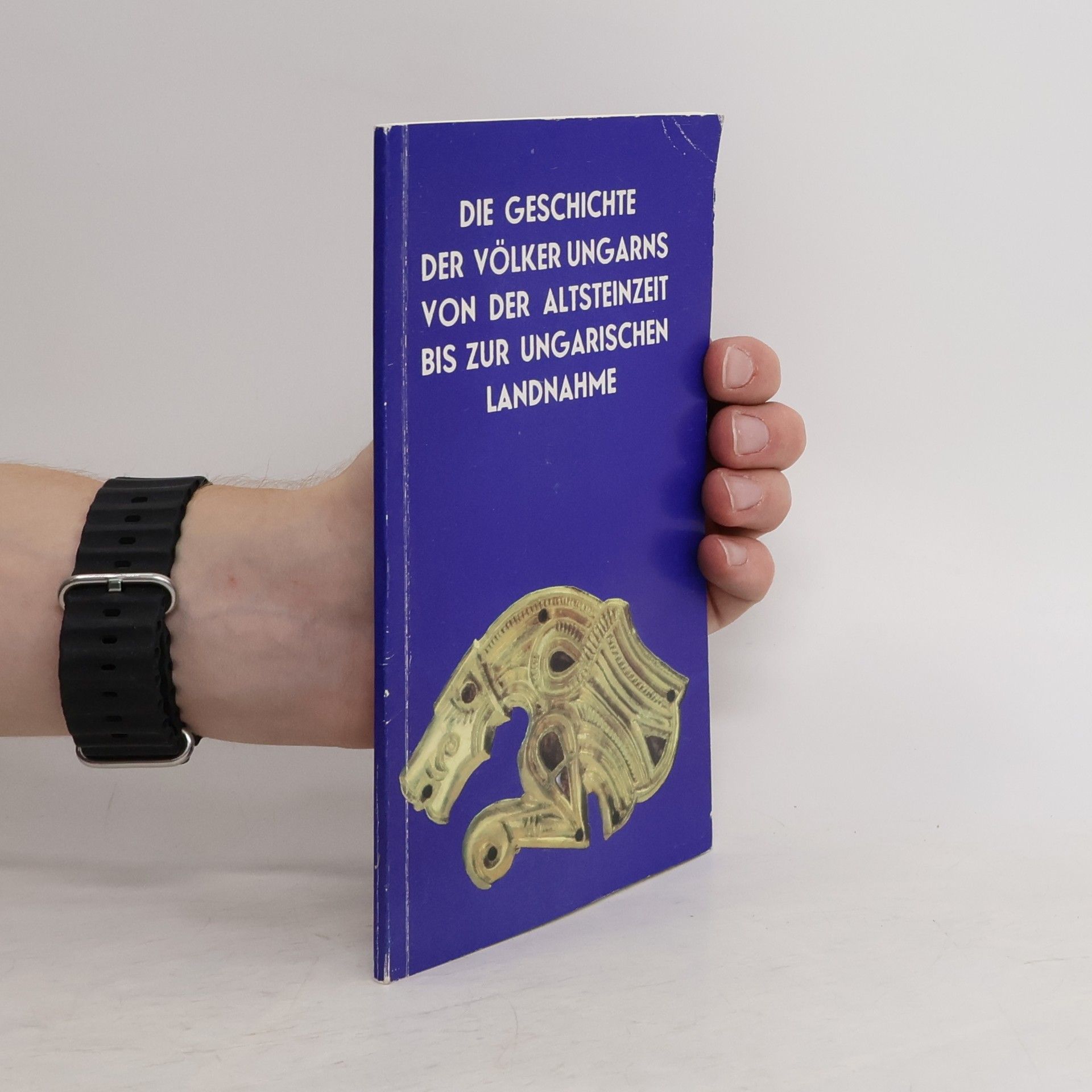 Autorenkollektiv Die Geschichte der Völker Ungarns von der Altsteinzeit bis zur ungarischen Landnahme