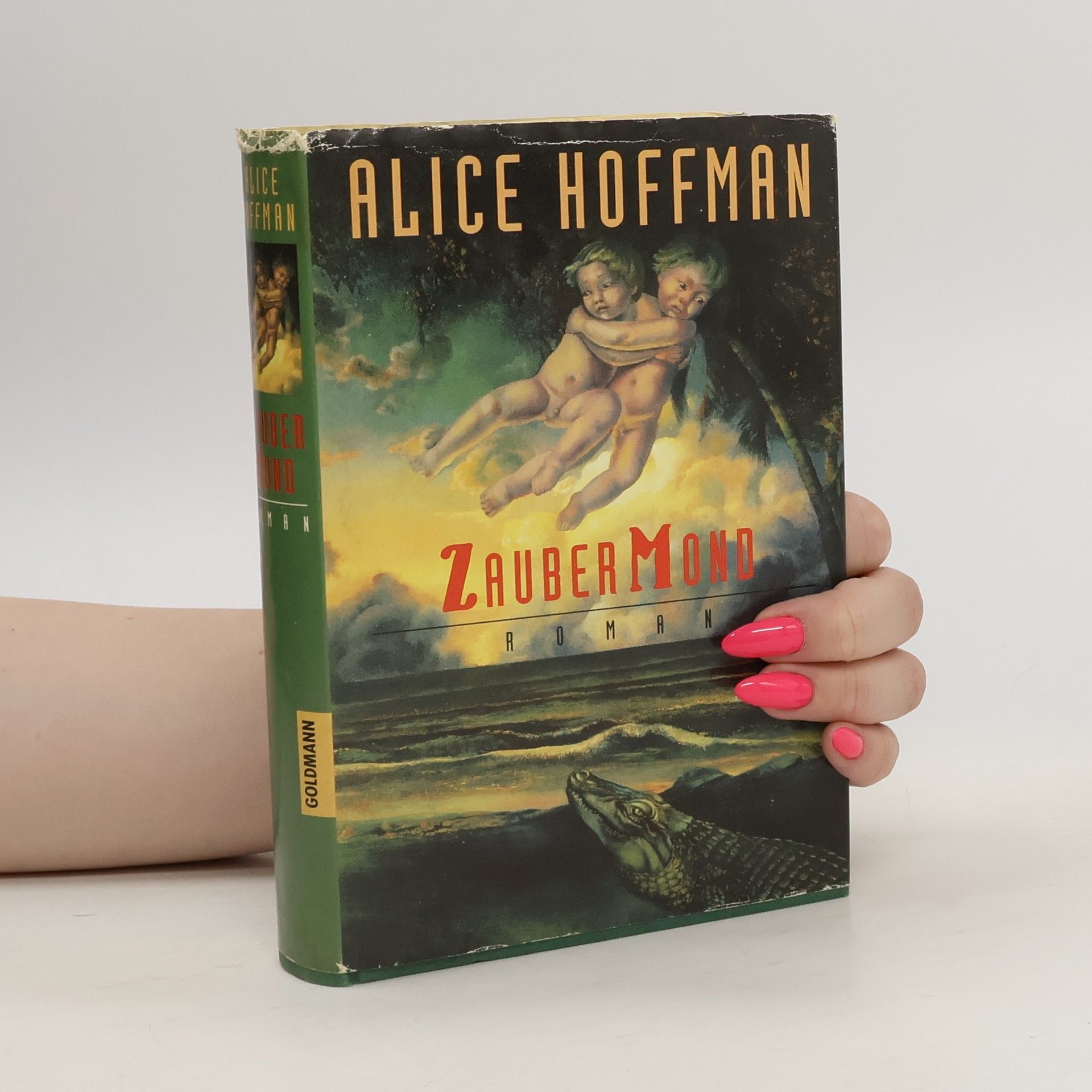 Alice Hoffman Zaubermond