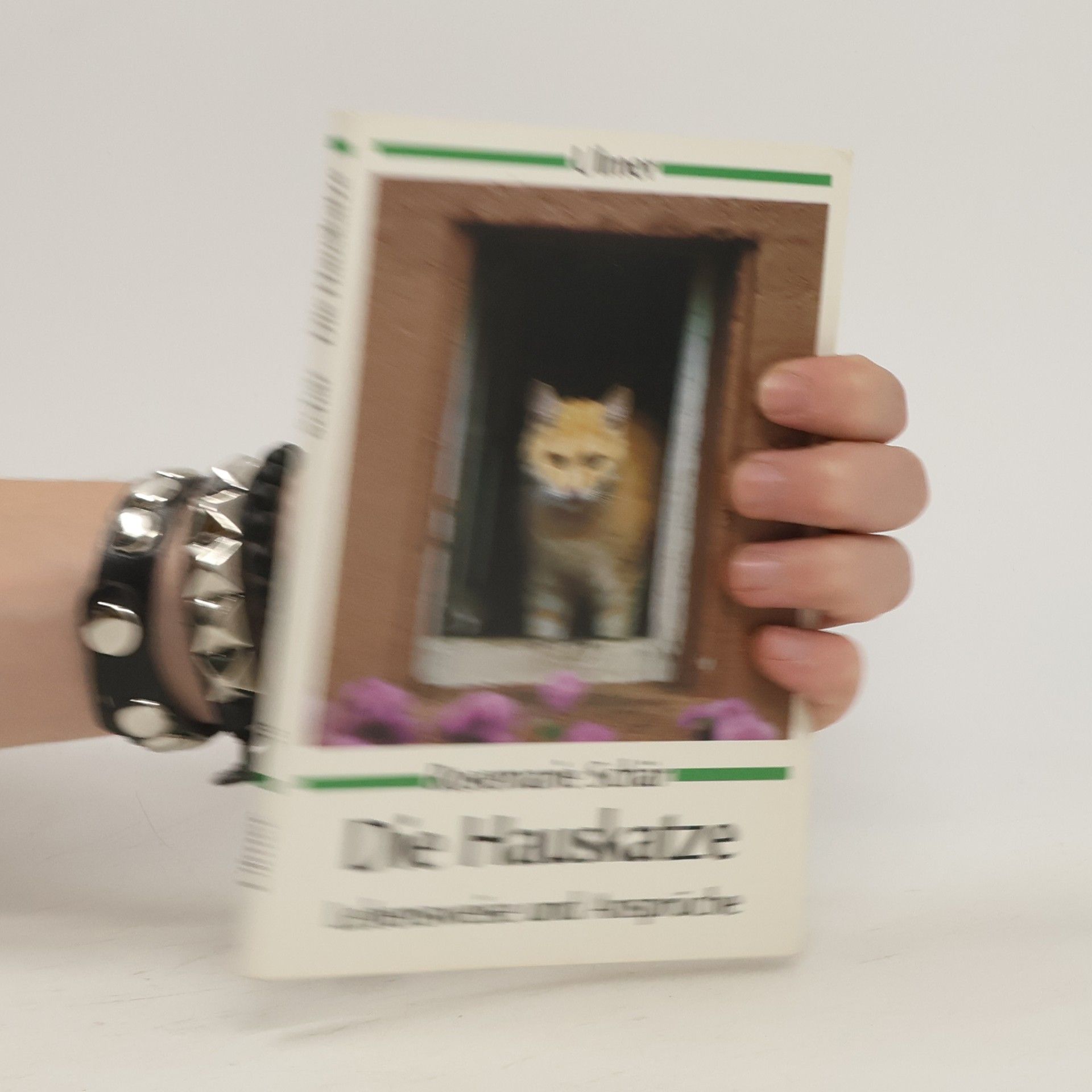 Rosemarie Schär Die Hauskatze