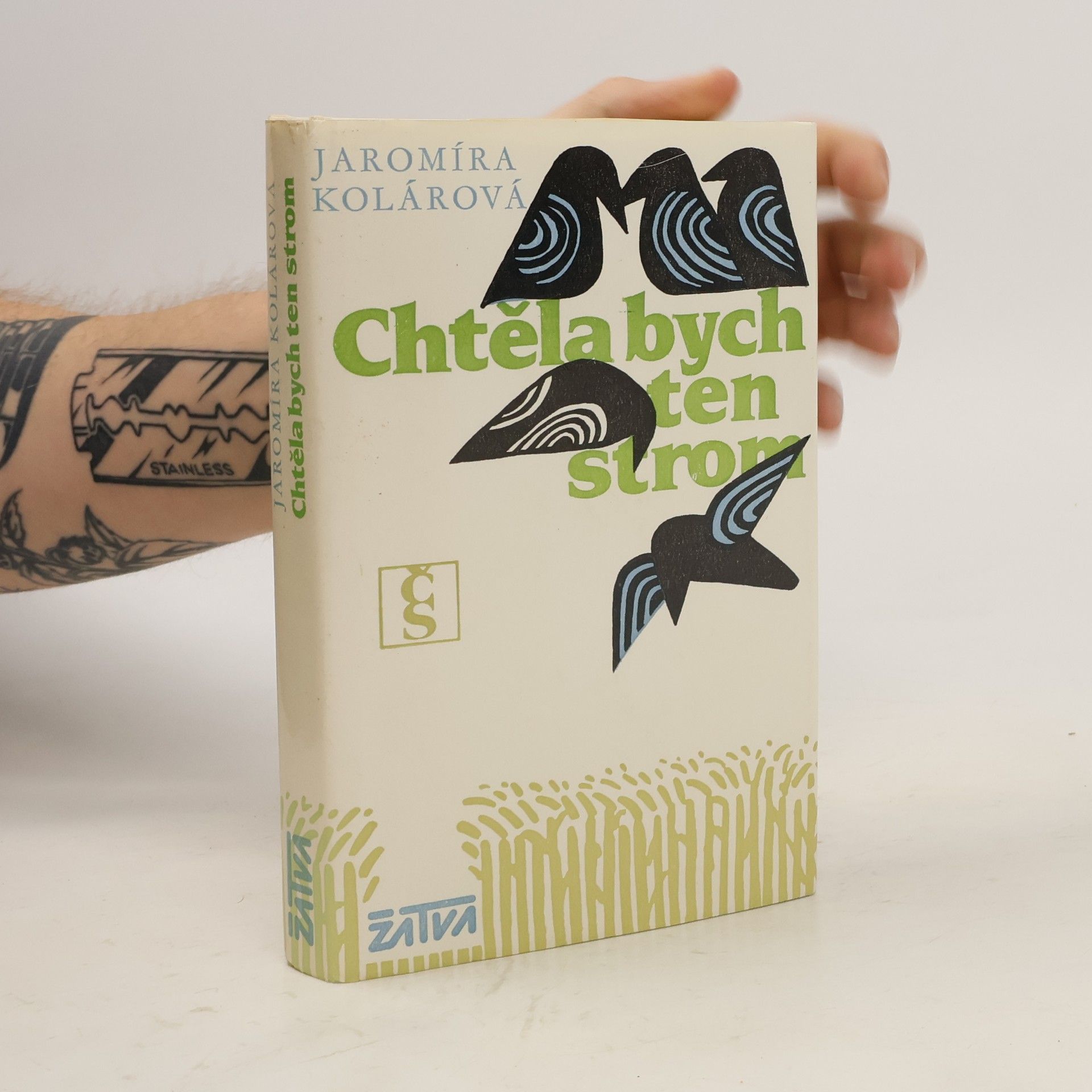 Jaromíra Kolárová Chtěla bych ten strom