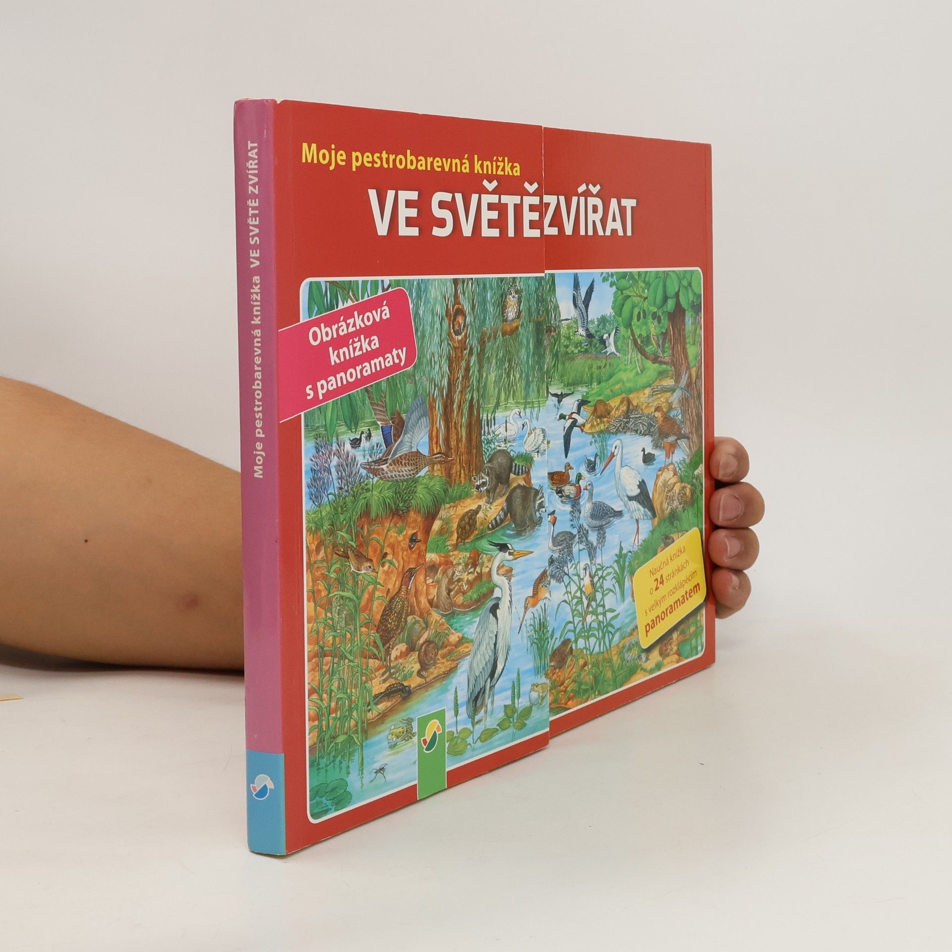Anne Suess Meine kunterbunte Tierwelt