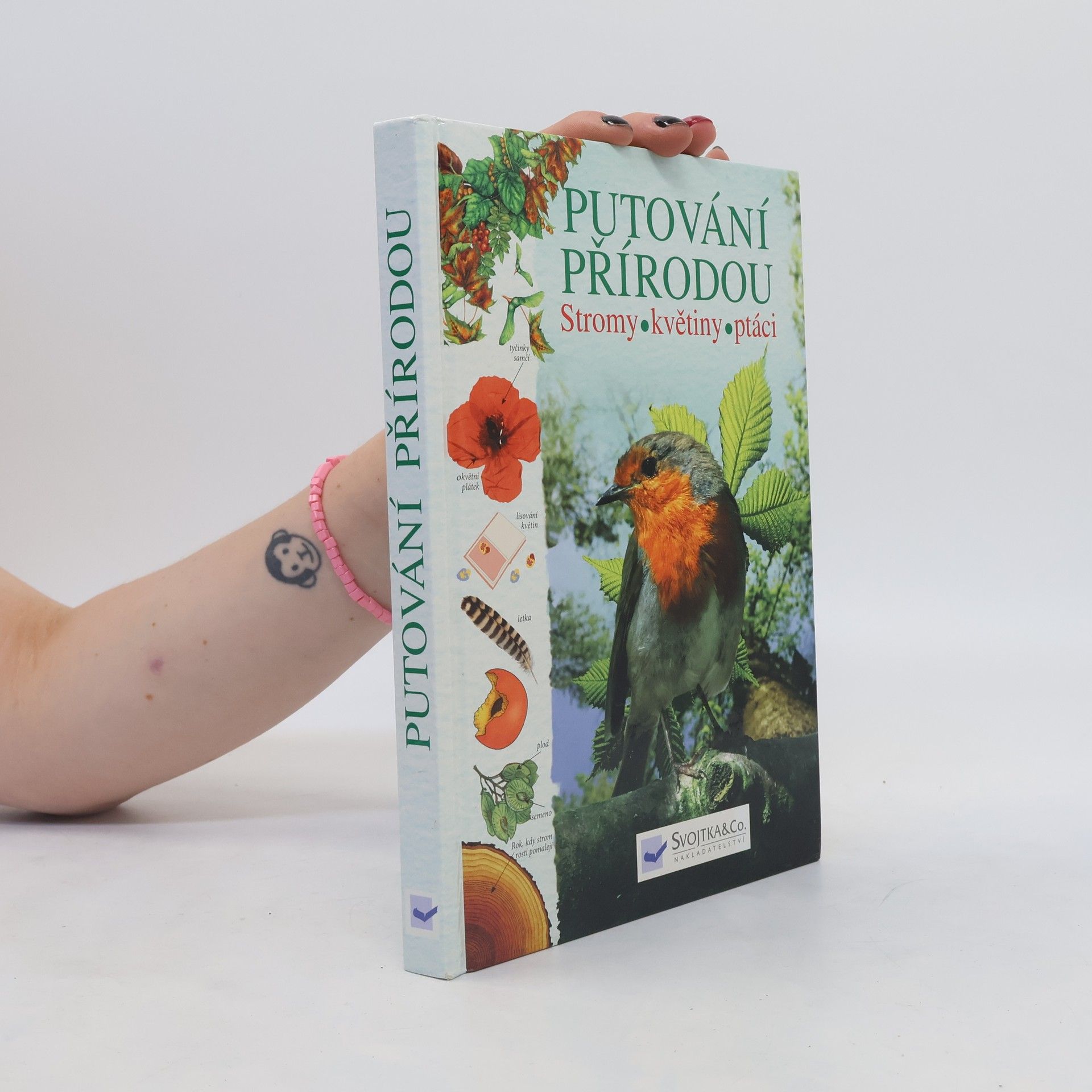 Autores varios Putování přírodou: Stromy, květiny, ptáci