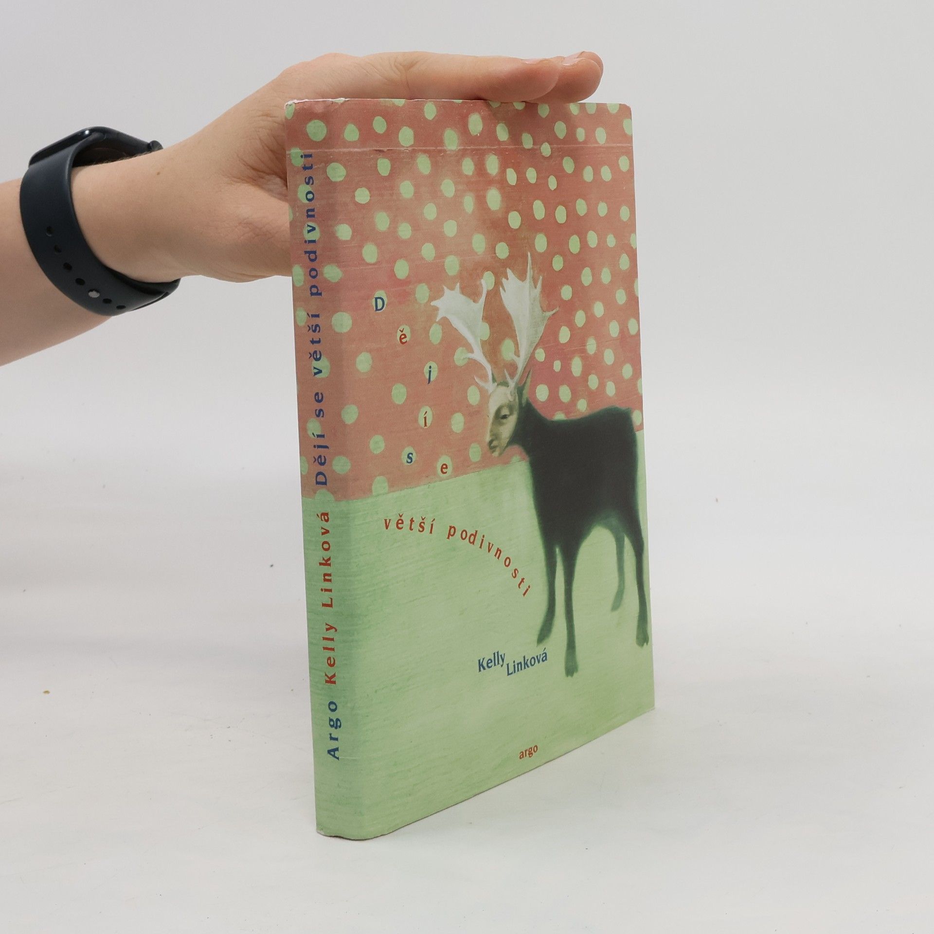 Kelly Link Větší podivnosti