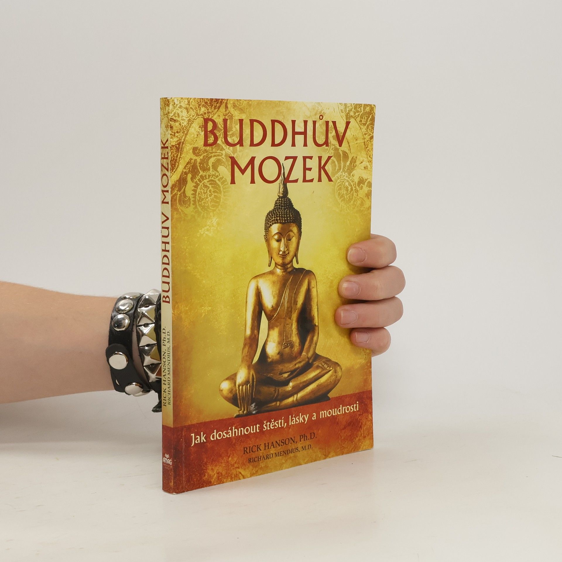Rick Hanson Buddhův mozek: Jak dosáhnout štěstí, lásky a moudrosti