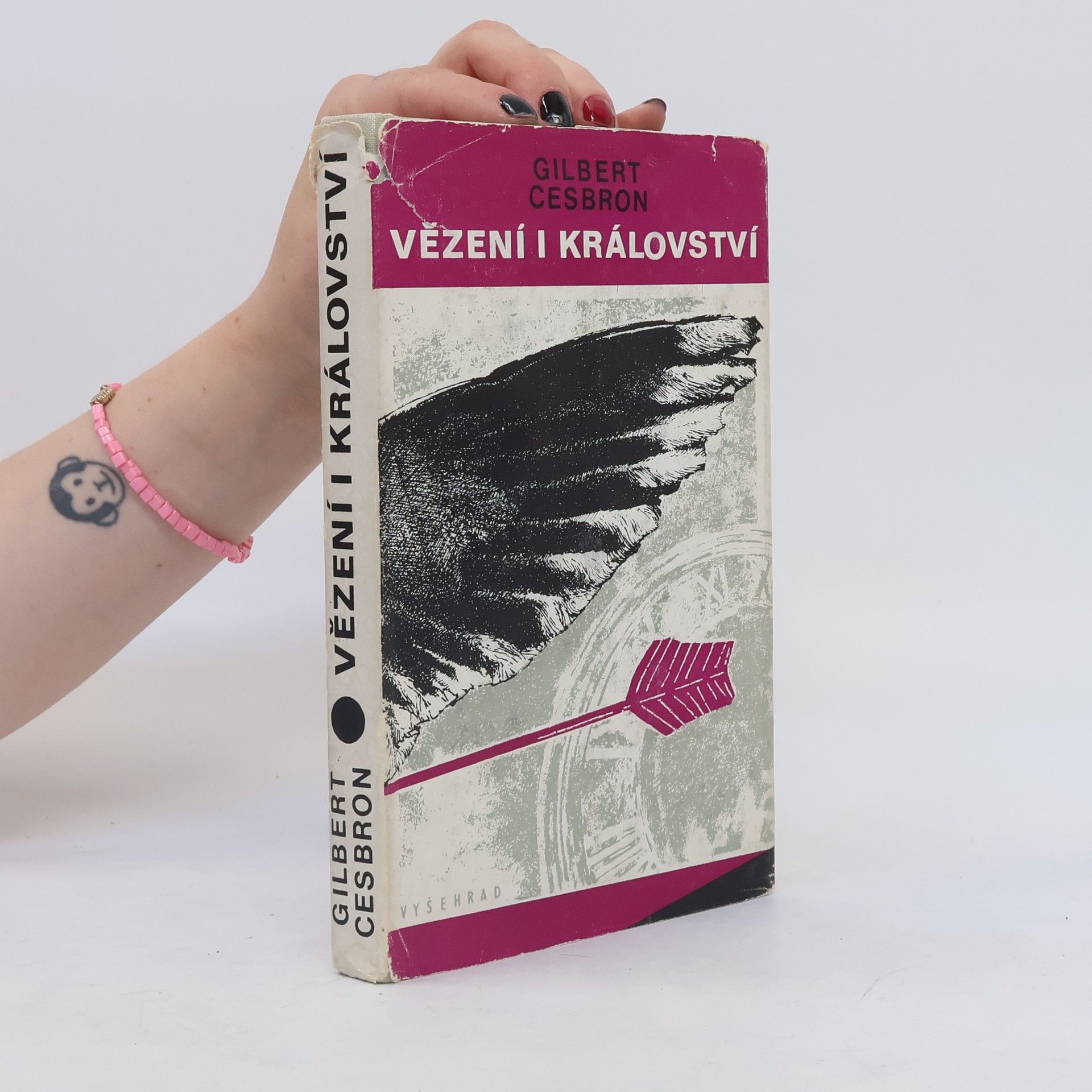 Vladimír Binar Vězení i království