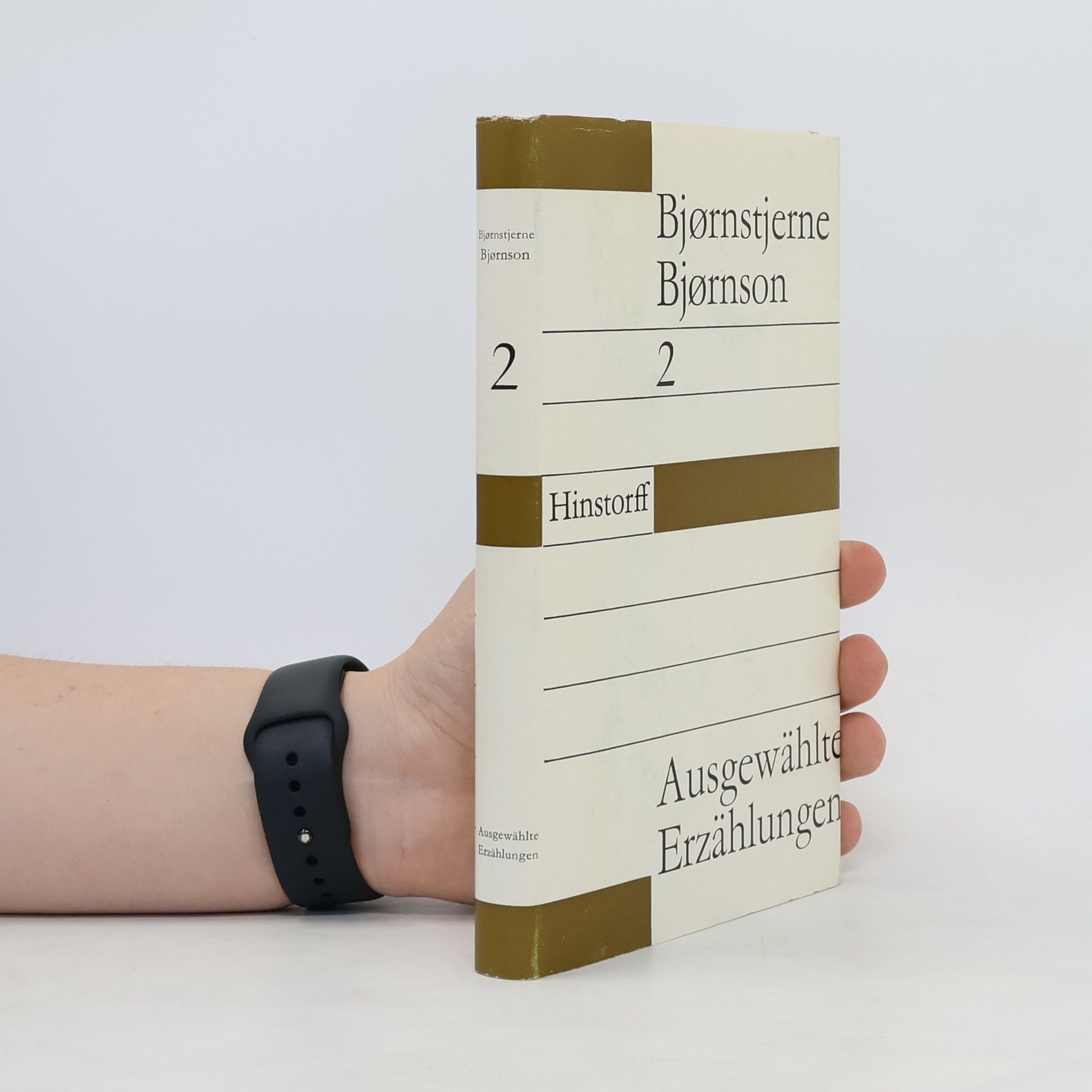 Bjørnstjerne Bjørnson Ausgewählte Erzählungen 2