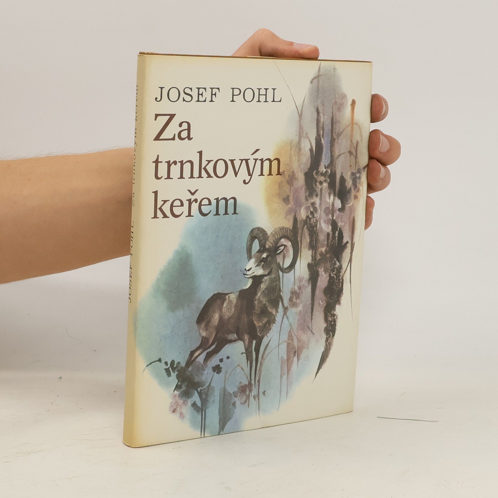 Josef Pohl Za trnkovým keřem