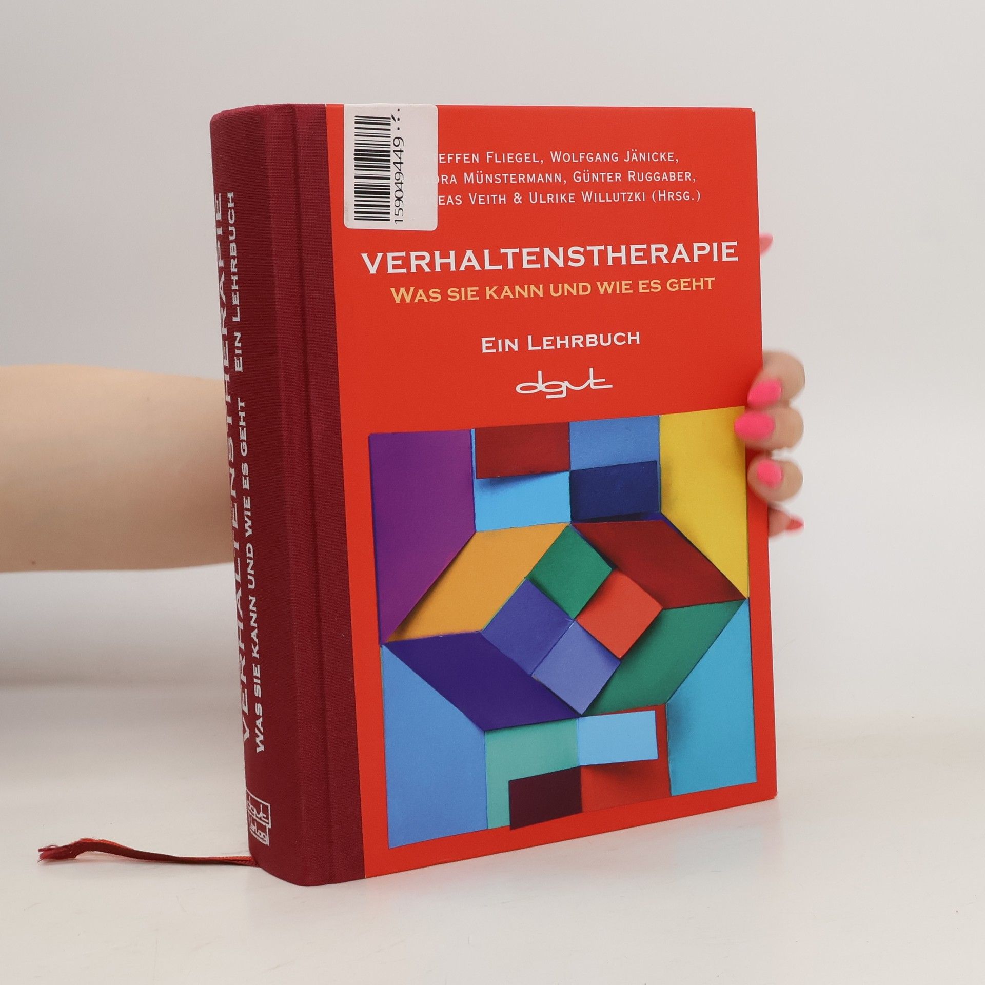 Steffen Fliegel Verhaltenstherapie