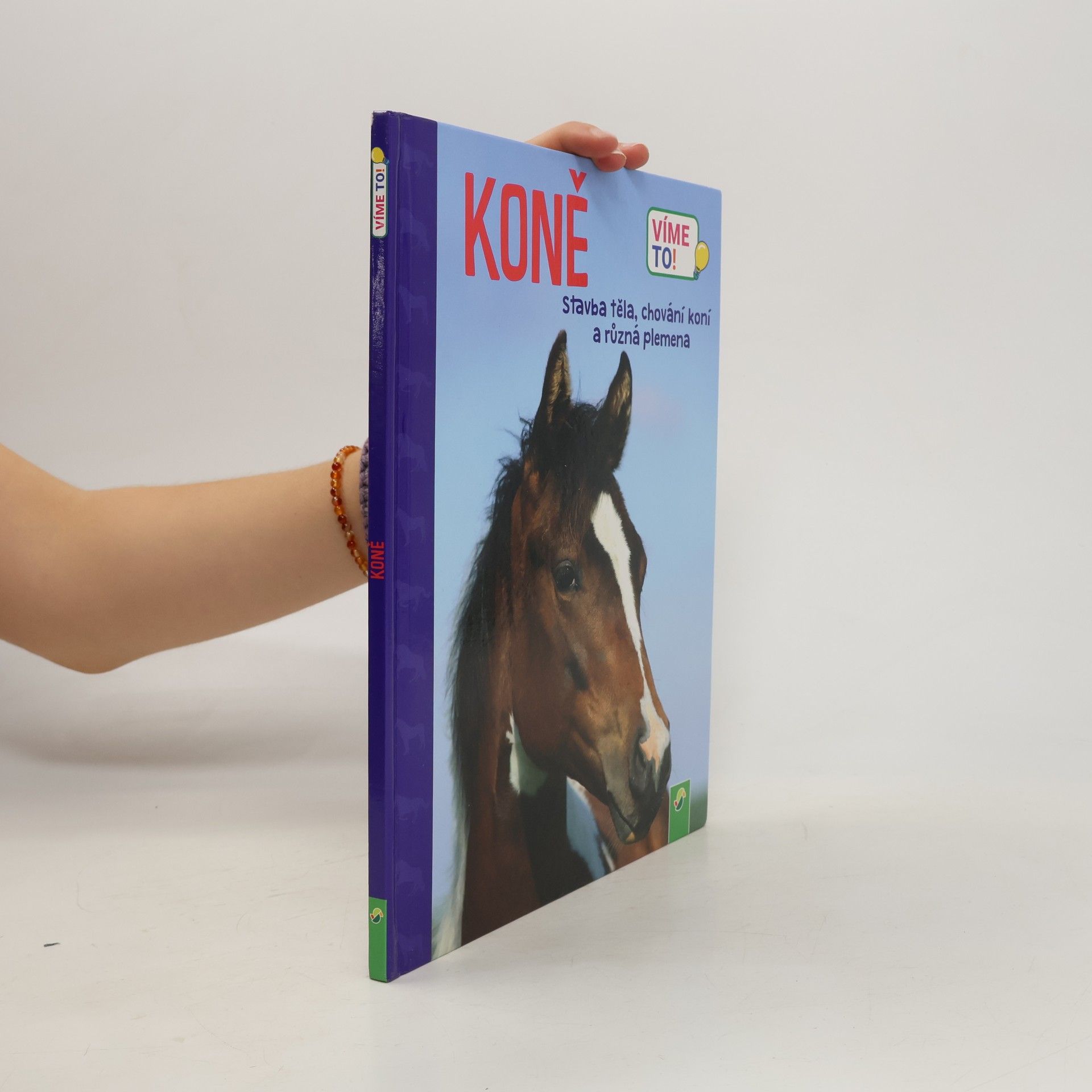 kolektiv Vieme to: Kone