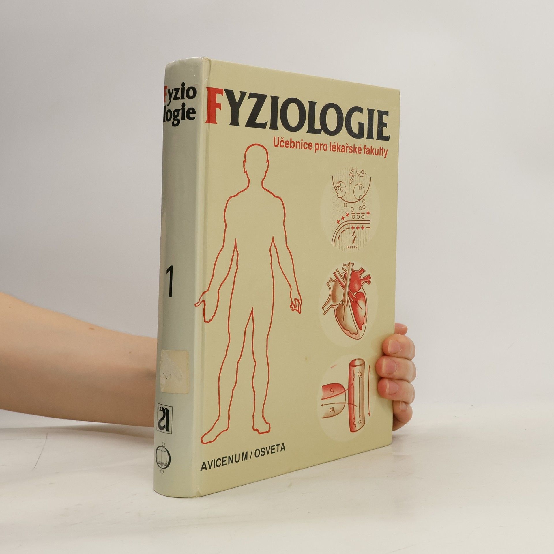 Kateřina Řezáčová Fyziologie 1