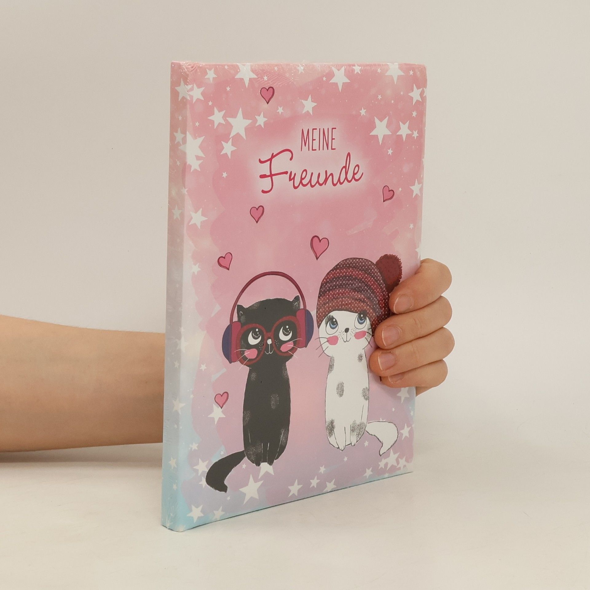 Kolektiv autorů Meine Freunde