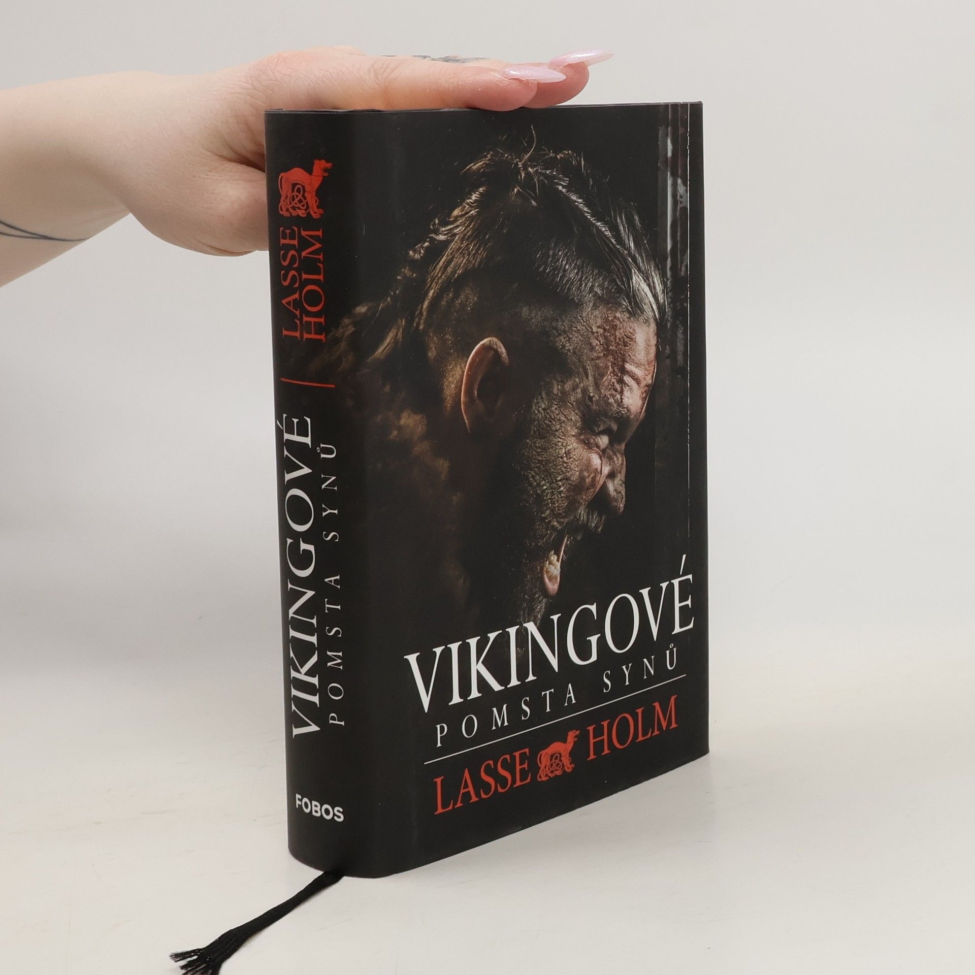 Lasse Holm Vikingové. Pomsta synů