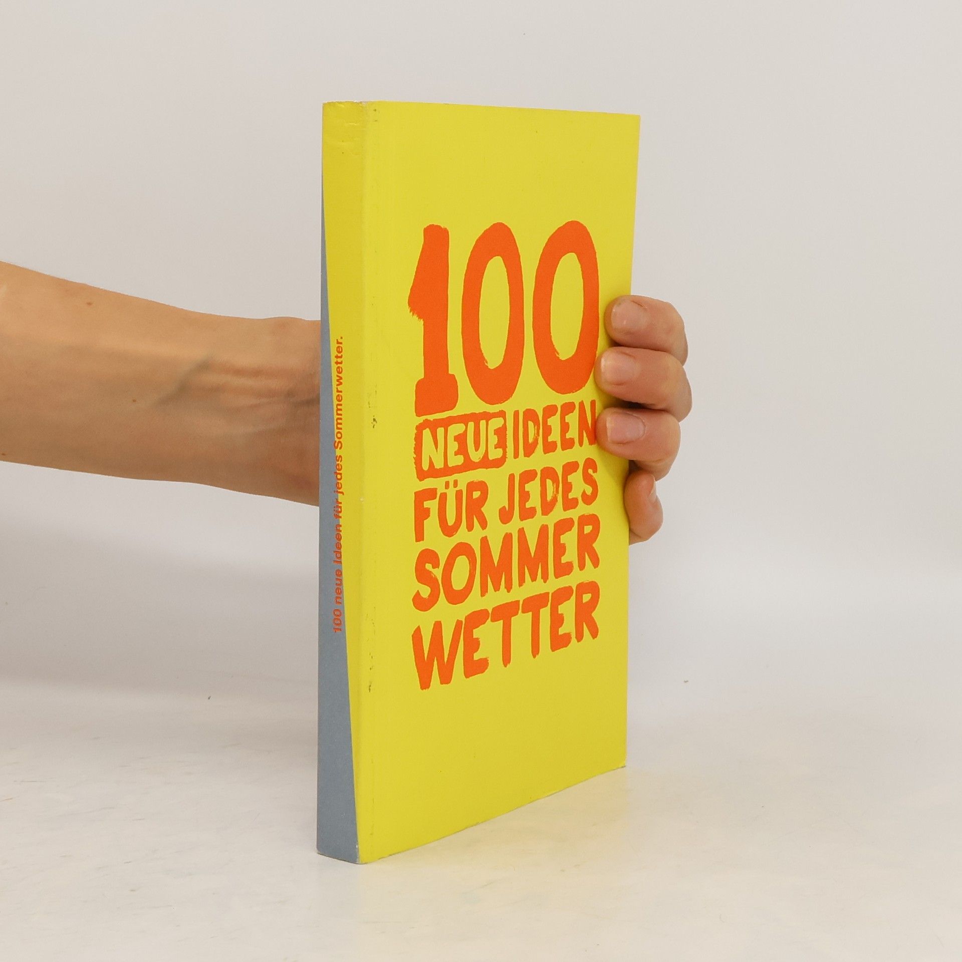 Autorenkollektiv 100 neue Ideen für jedes Sommerwetter