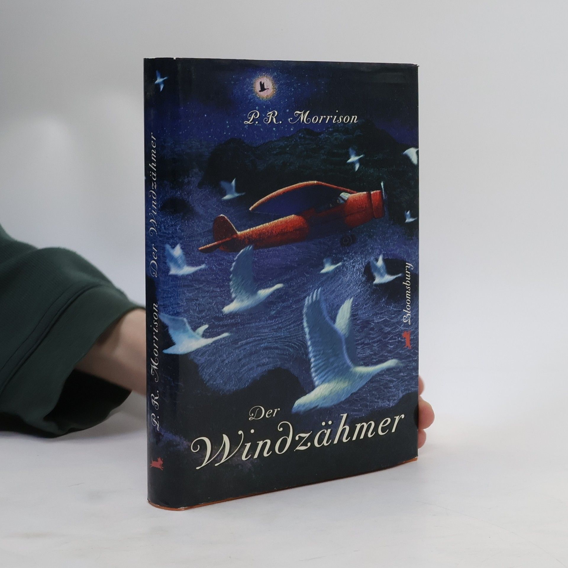 P. R. Morrison Der Windzähmer