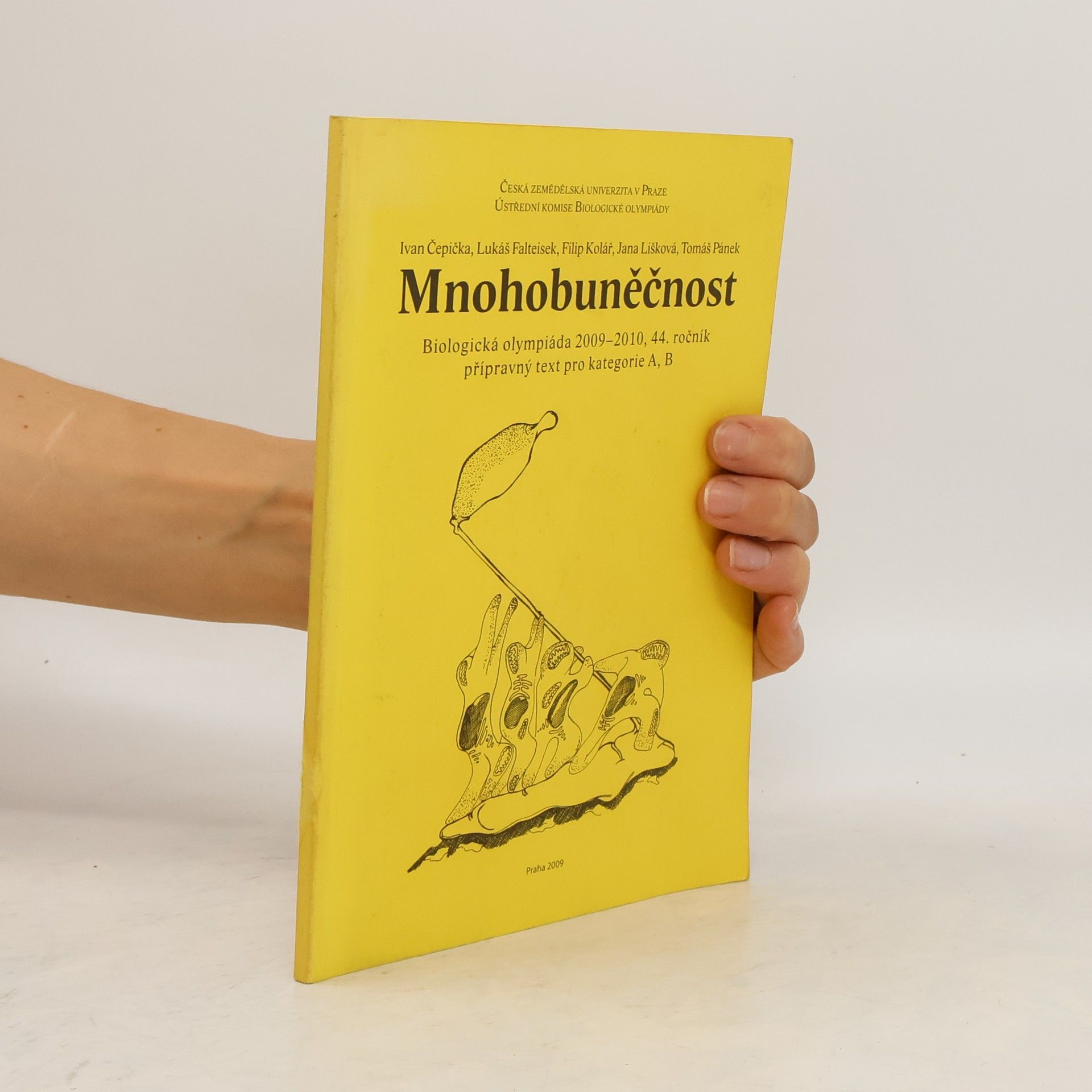 Collective Mnohobuněčnost