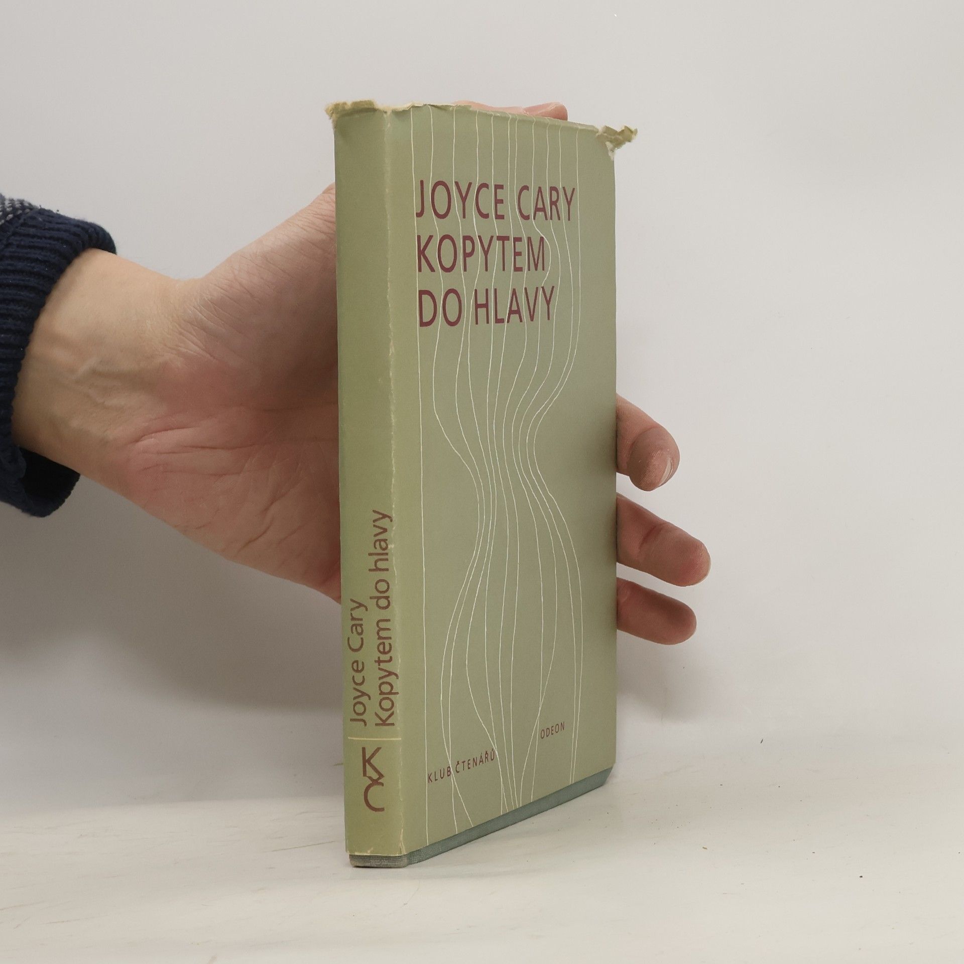 Joyce Cary Kopytem do hlavy