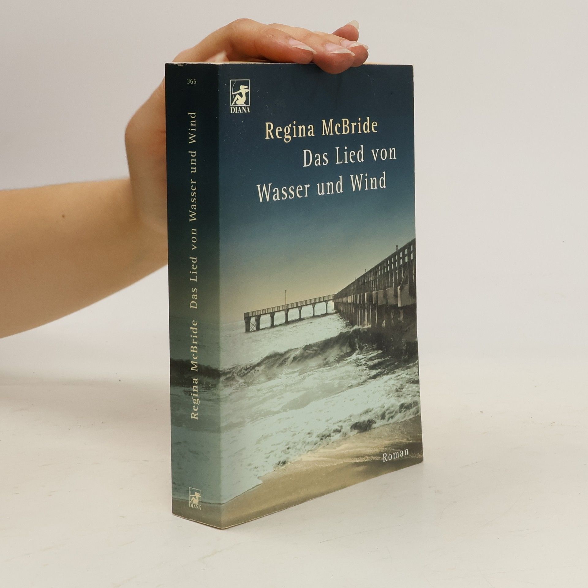 Regina McBride Das Lied von Wasser und Wind
