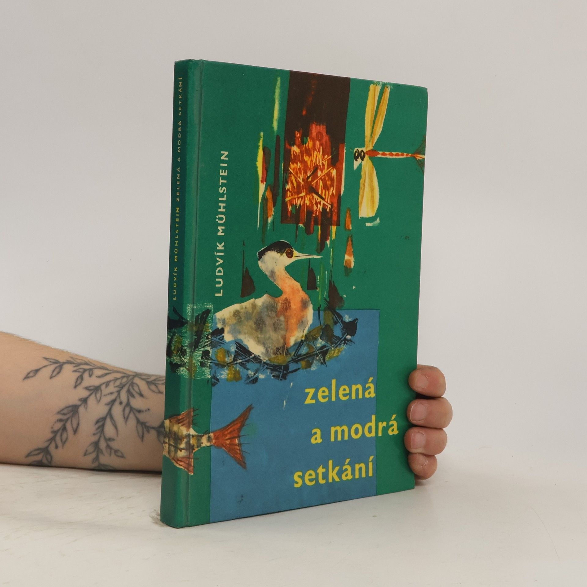 Ludvík Mühlstein Zelená a modrá setkání