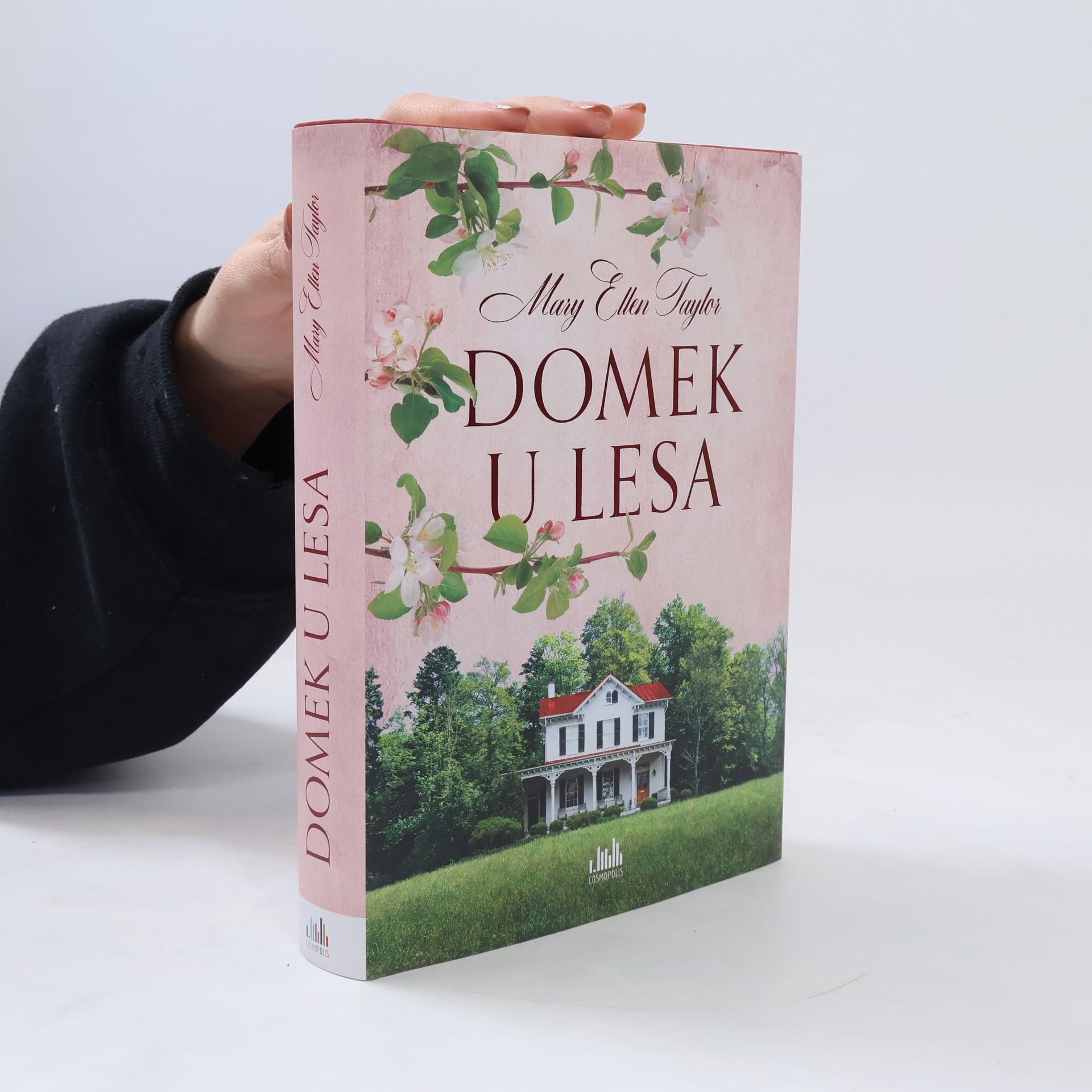 Mary Ellen Taylor Domek u lesa