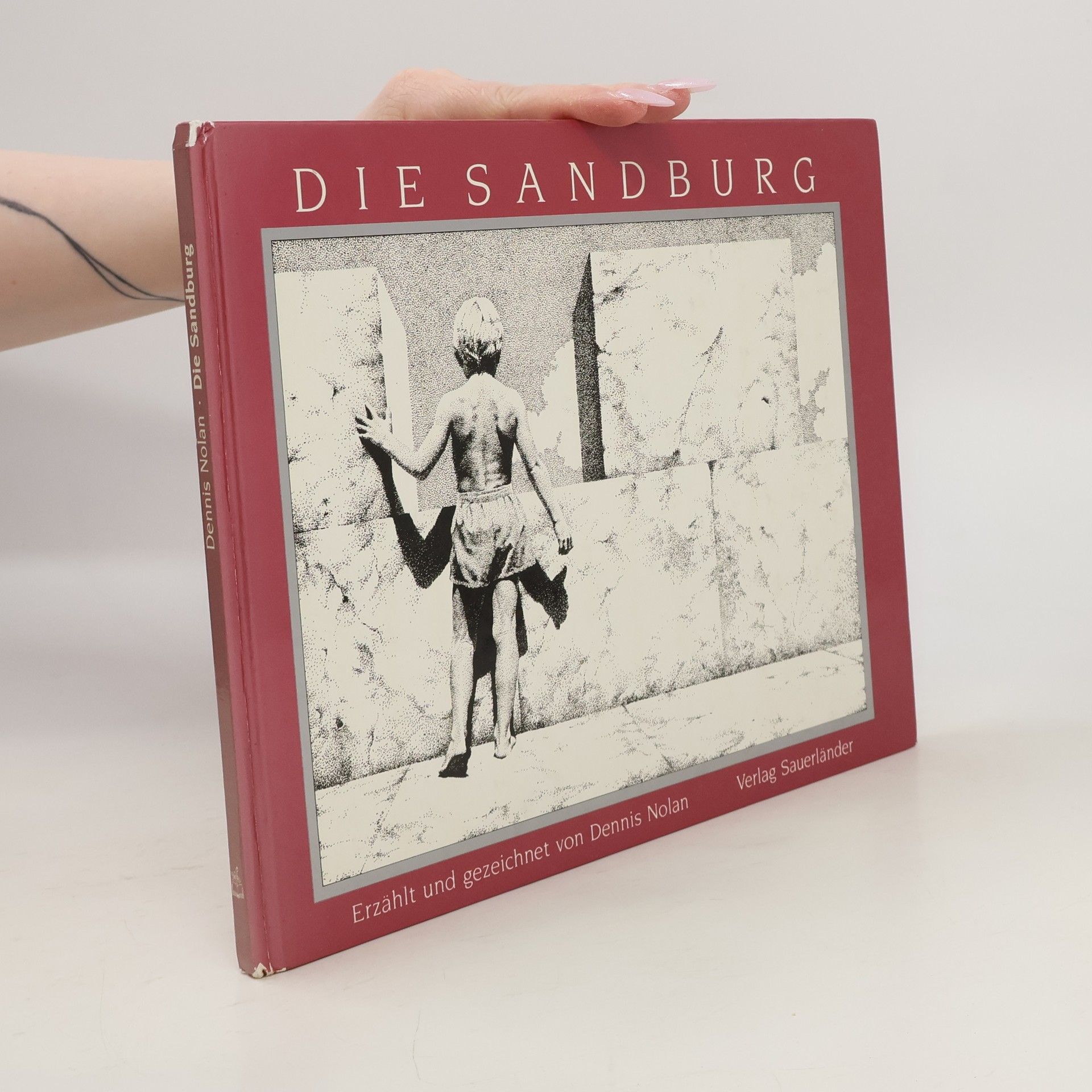 Dennis Nolan Die Sandburg