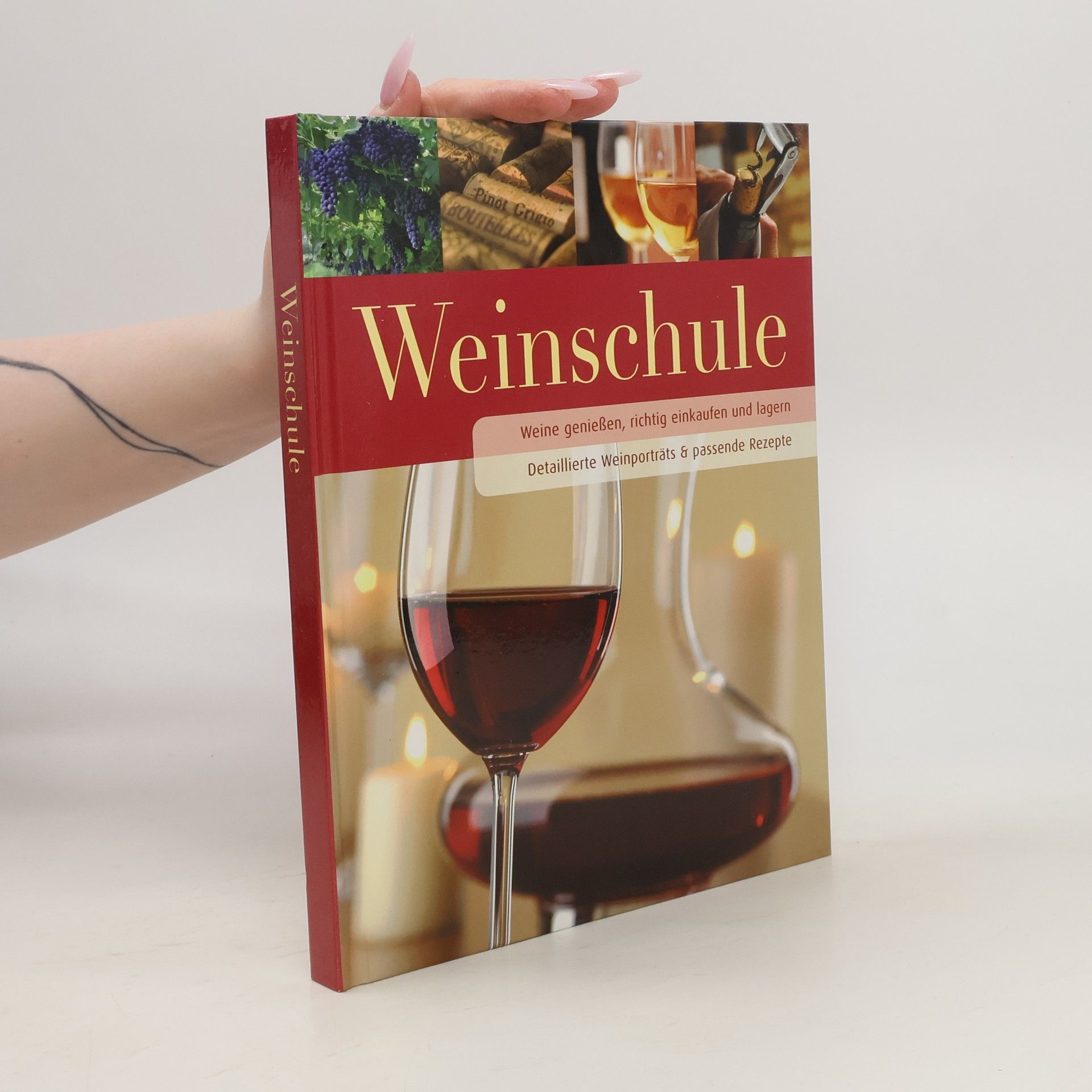 Autores varios Weinschule